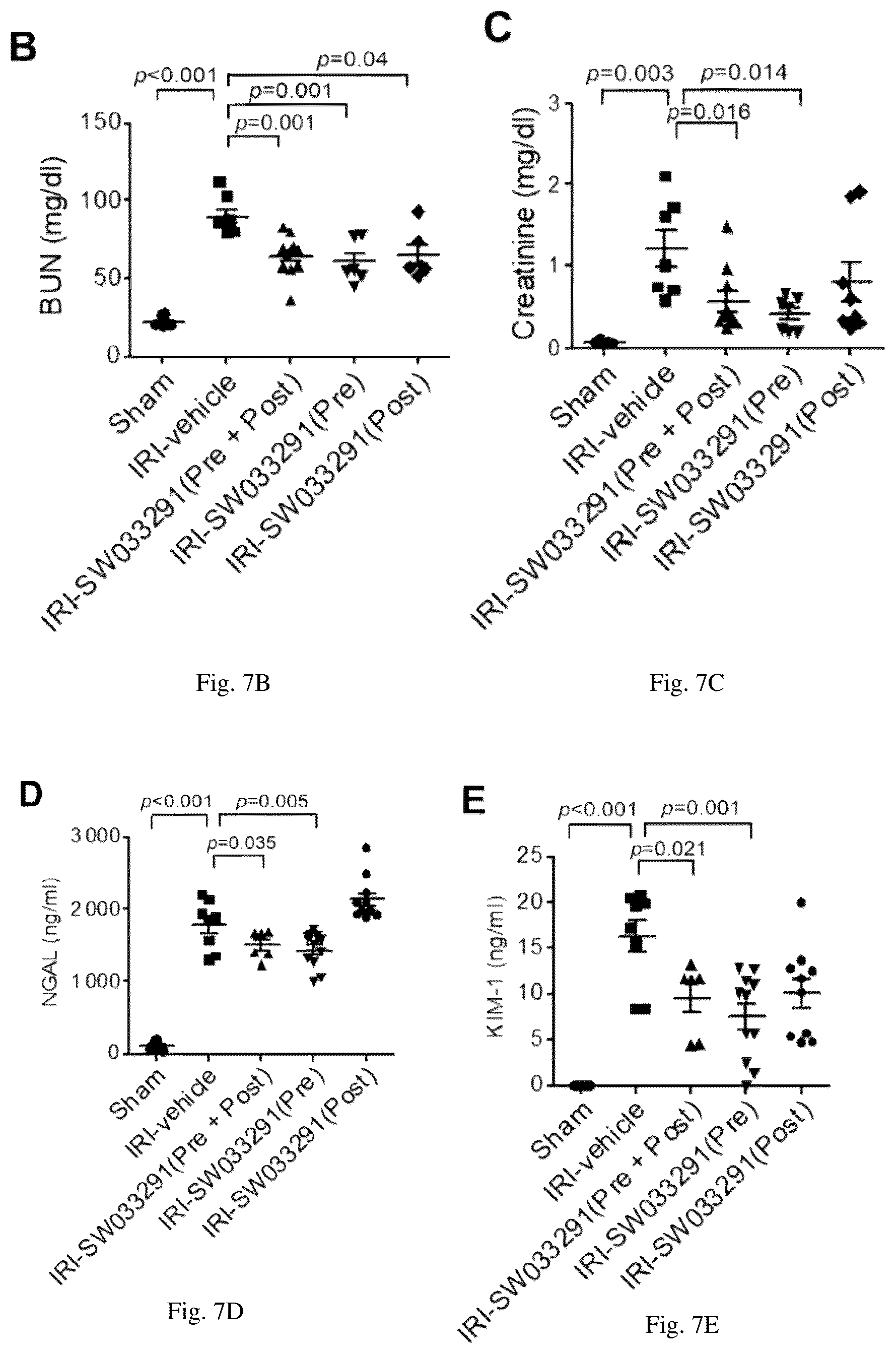Patent US12616681 Figure 20 – Compositions and methods for treating renal injury