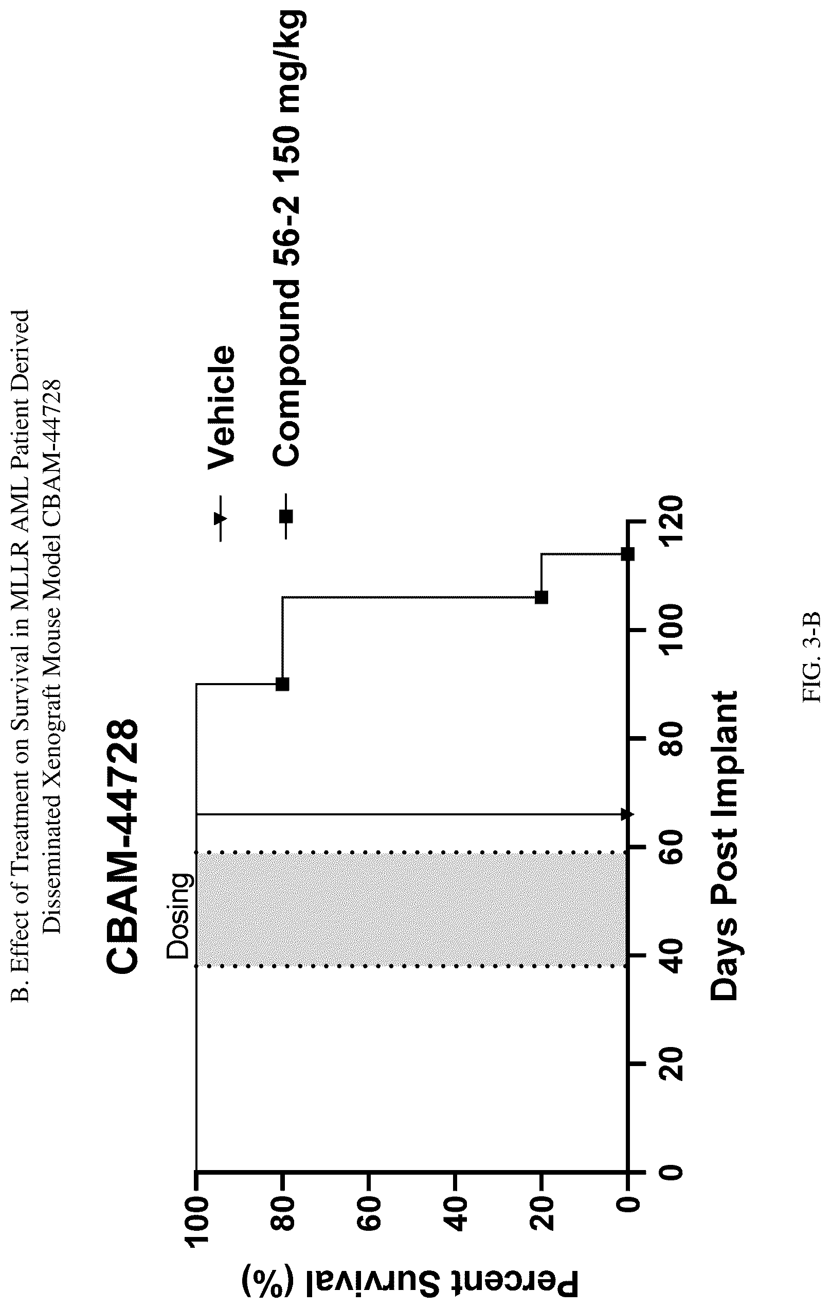Patent US12616682 Figure 5 – 1-H-pyrrolo[2,3-c]pyridine compounds