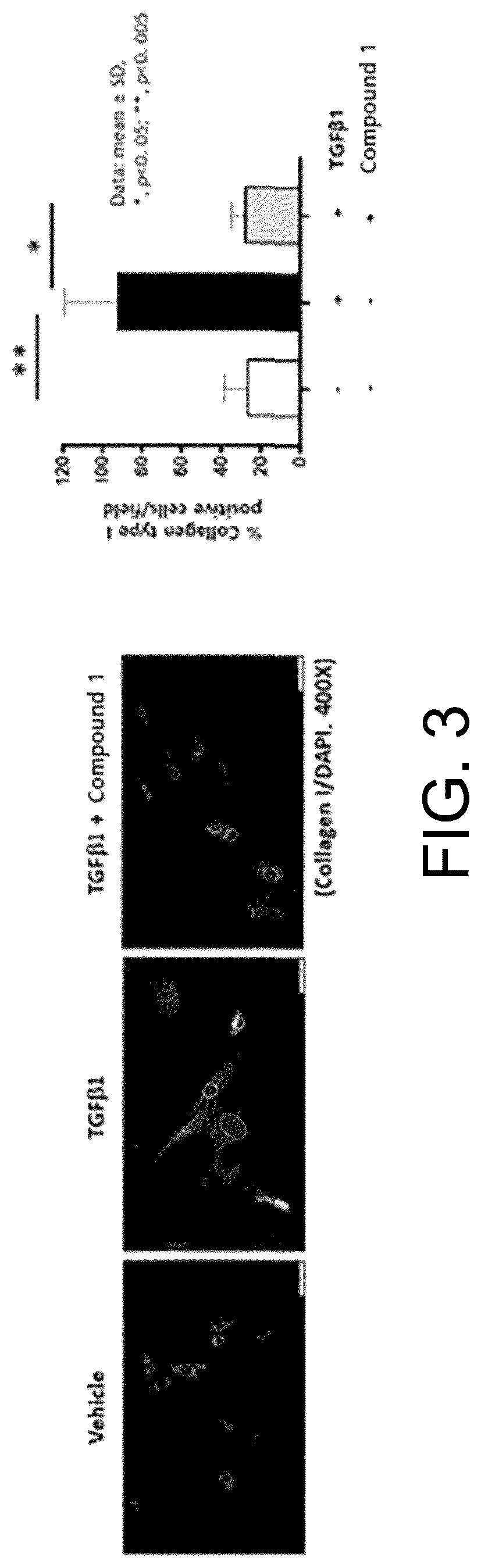 Patent US12616684 Figure 3 – Pulmonary fibrosis medicine containing pyrazole derivative