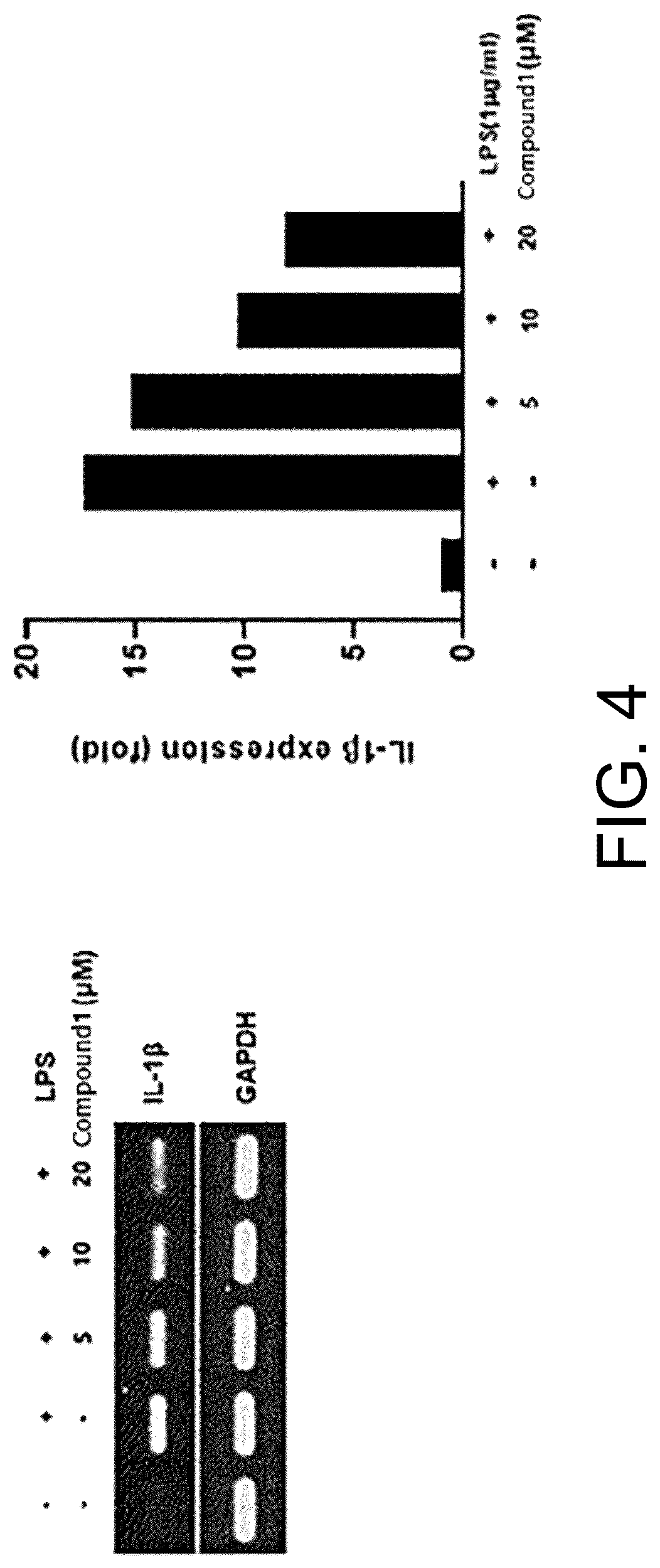 Patent US12616684 Figure 4 – Pulmonary fibrosis medicine containing pyrazole derivative