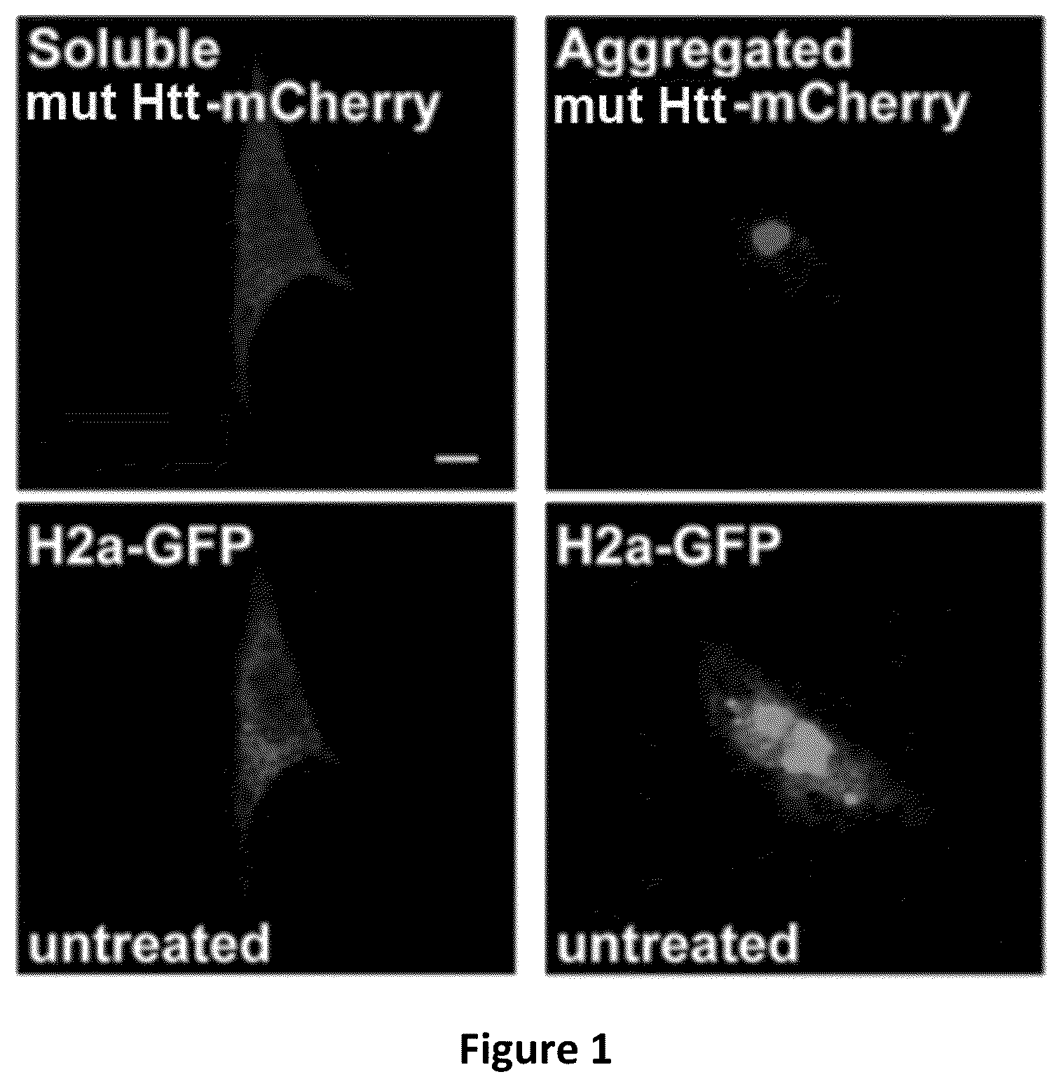 Patent US12616687 Figure 1 – Treatment of viral infection, disease or disorder using a selective sir agonist