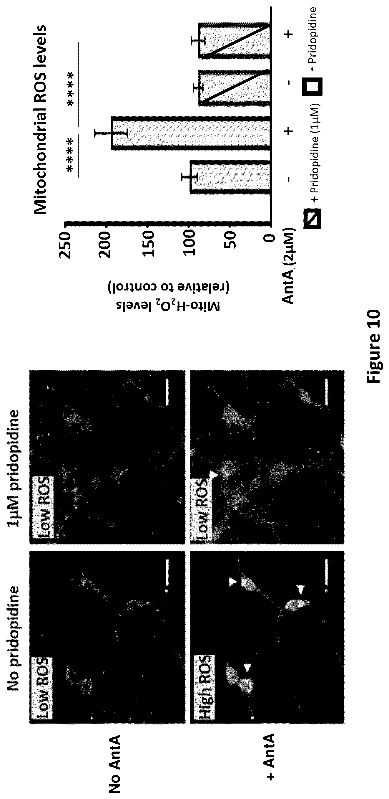 Patent US12616687 Figure 7 – Treatment of viral infection, disease or disorder using a selective sir agonist