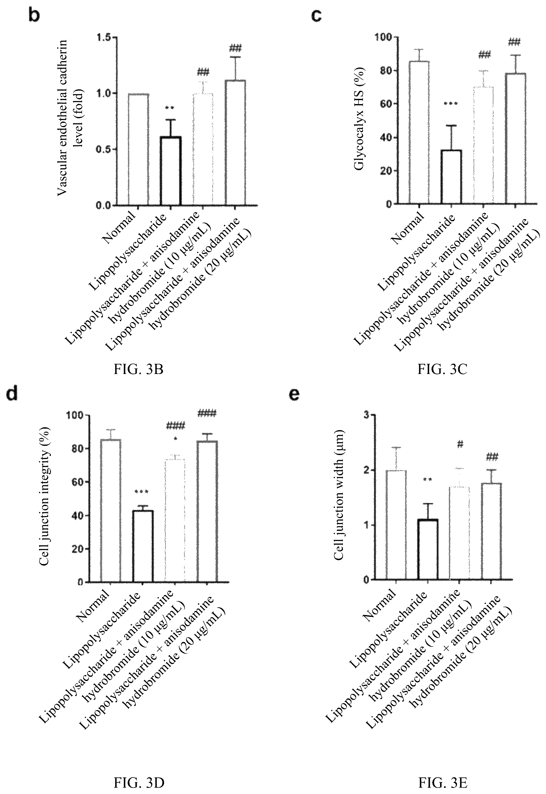 Patent US12616688 Figure 3 – Cell glycocalyx protection effect of anisodamine