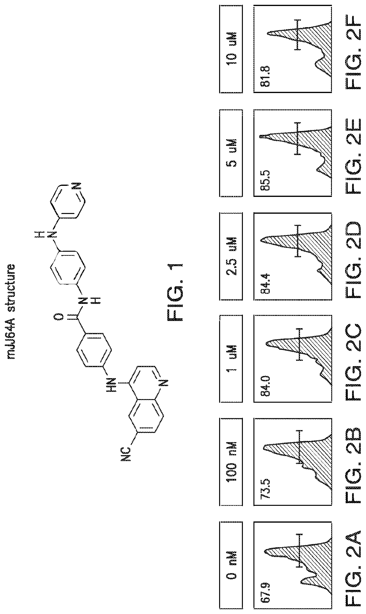 Patent US12616690 Figure 1 – Specific AKT3 activator and uses thereof
