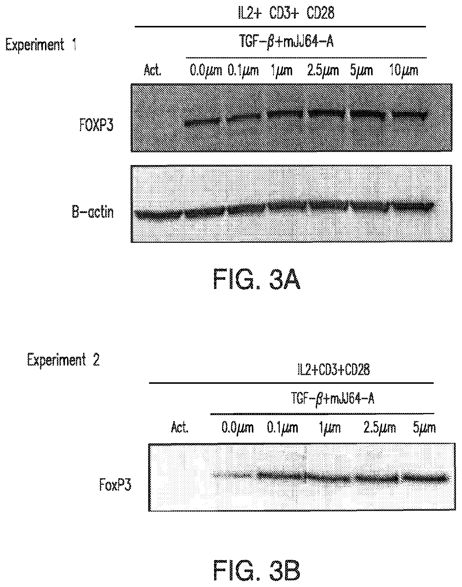 Patent US12616690 Figure 4 – Specific AKT3 activator and uses thereof