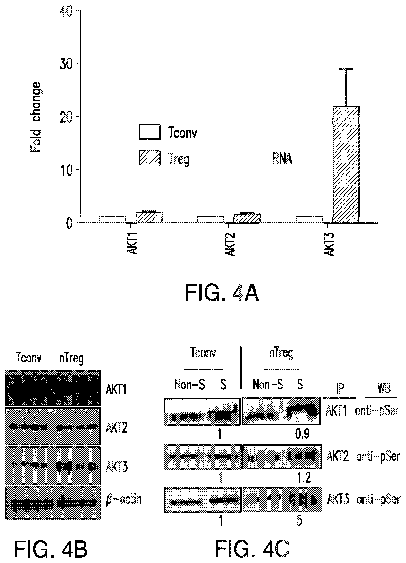 Patent US12616690 Figure 5 – Specific AKT3 activator and uses thereof