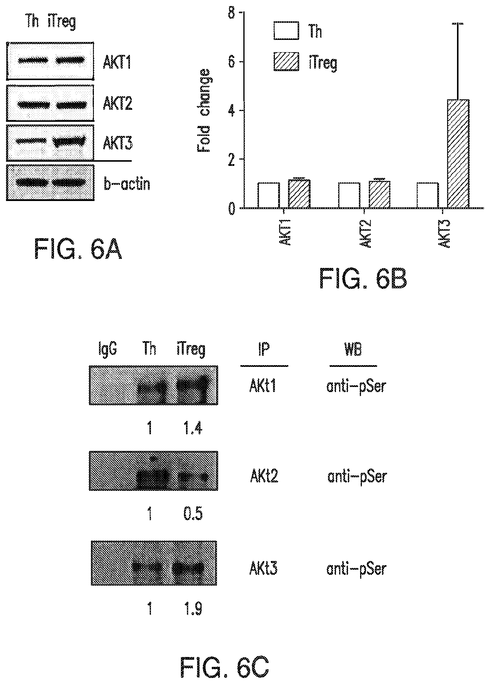 Patent US12616690 Figure 8 – Specific AKT3 activator and uses thereof