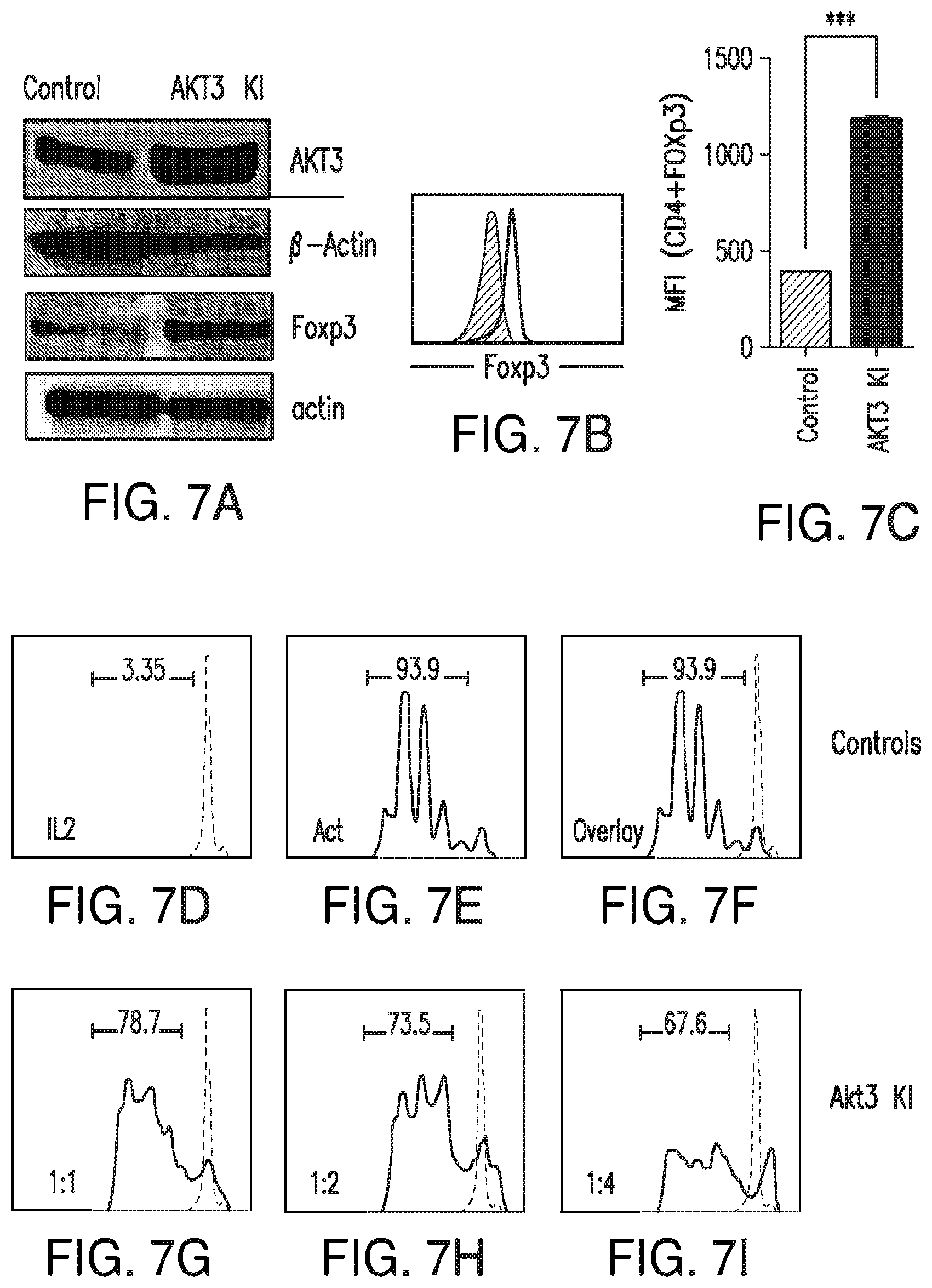 Patent US12616690 Figure 10 – Specific AKT3 activator and uses thereof