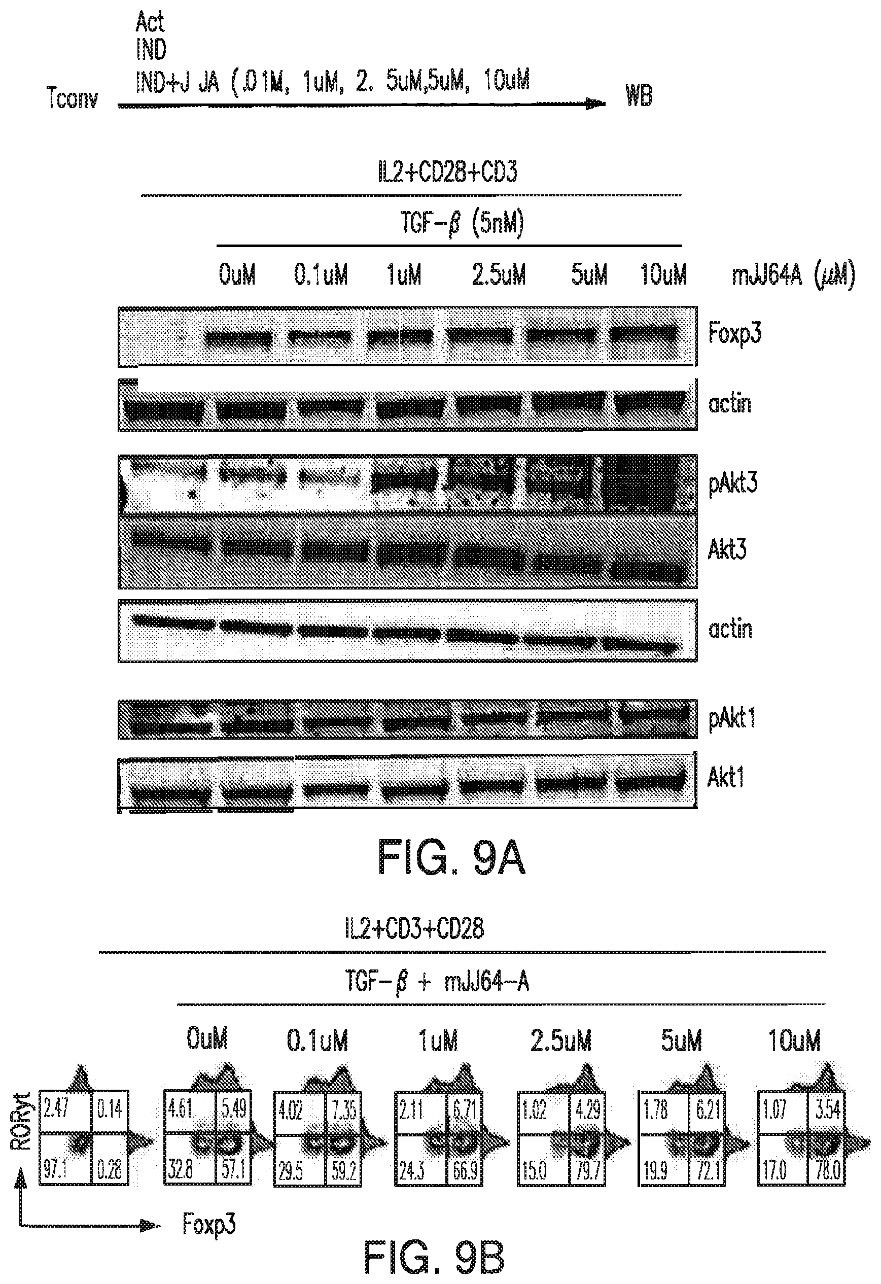 Patent US12616690 Figure 12 – Specific AKT3 activator and uses thereof