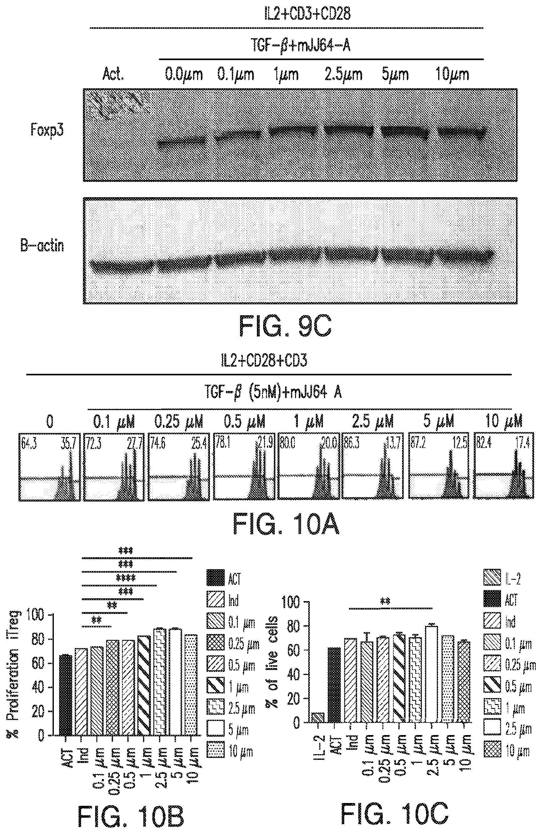Patent US12616690 Figure 13 – Specific AKT3 activator and uses thereof