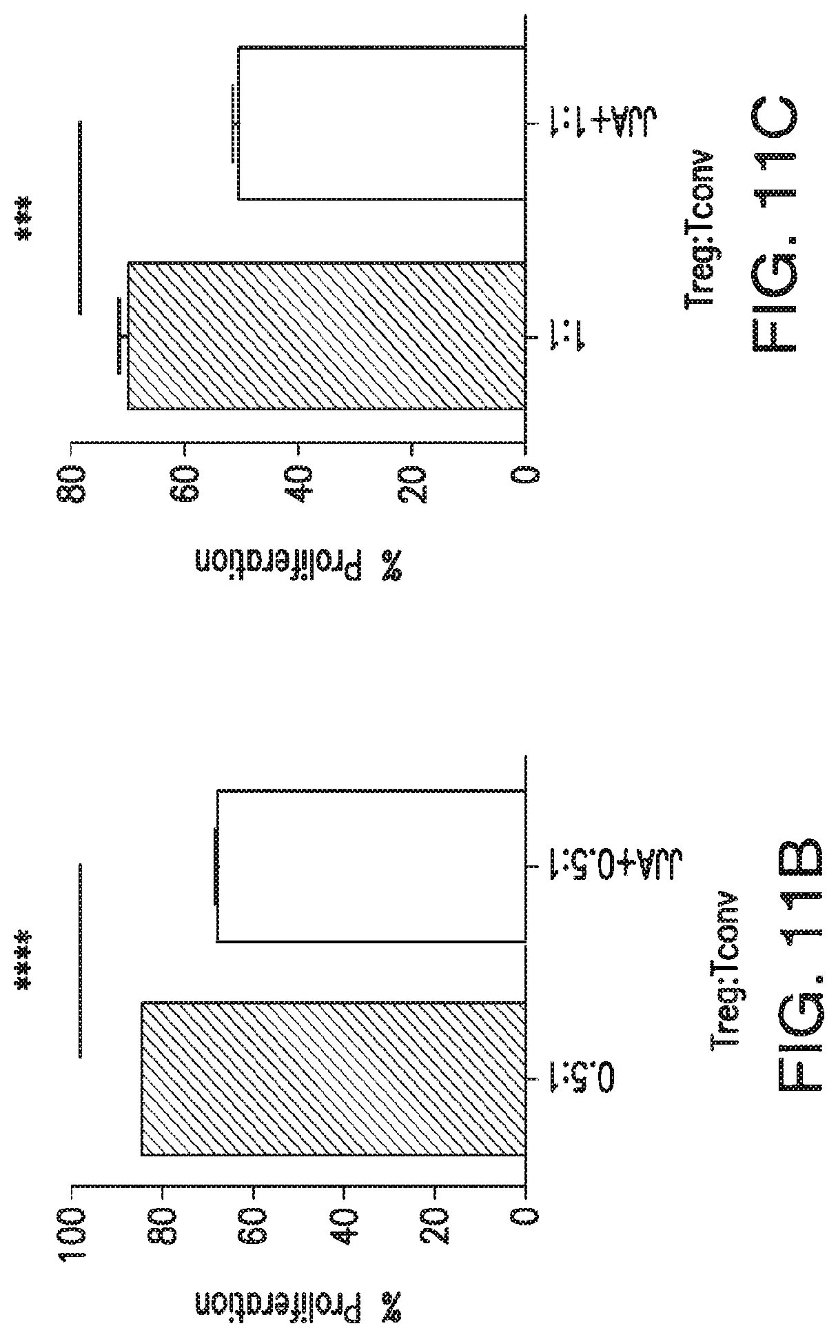 Patent US12616690 Figure 18 – Specific AKT3 activator and uses thereof