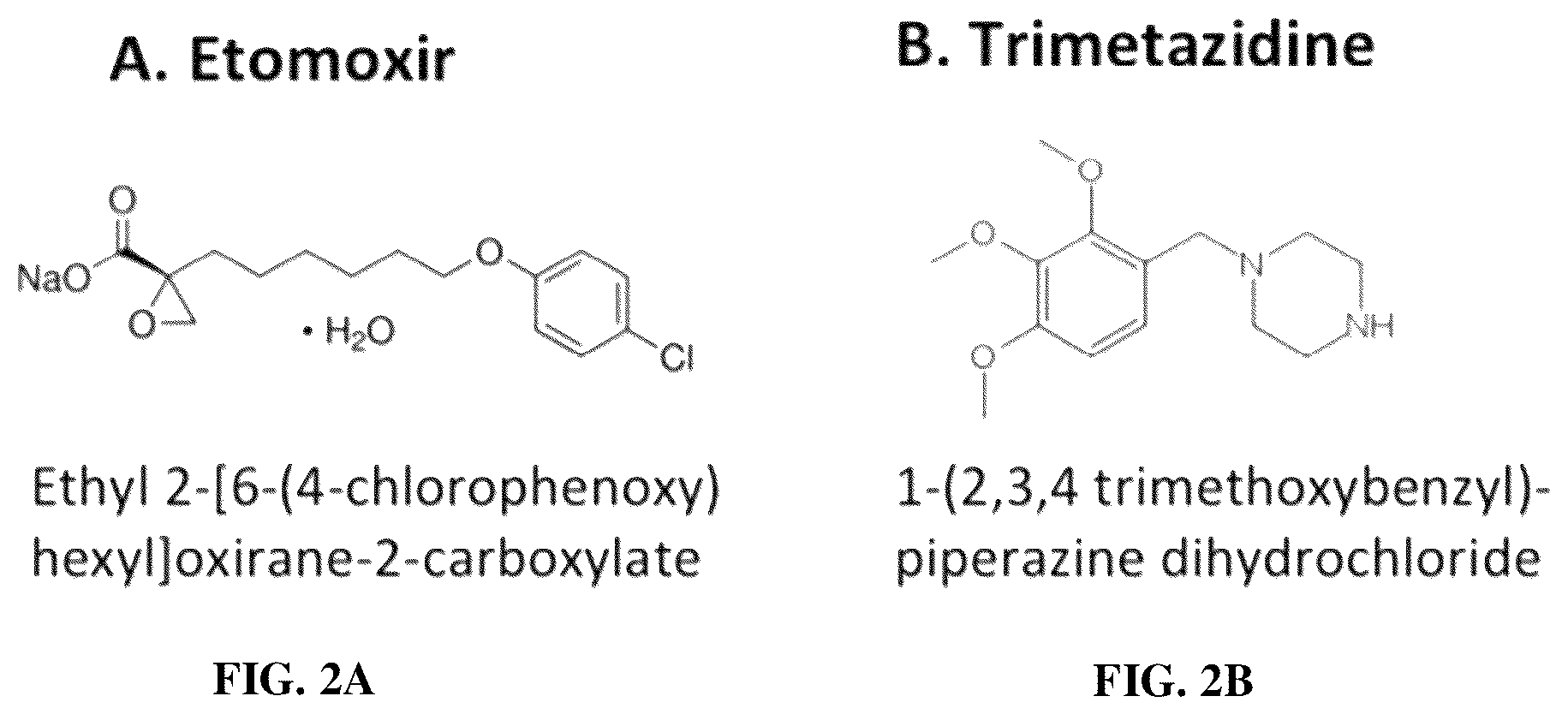 Patent US12616691 Figure 2 – Use of fatty acid oxidation inhibitors as antimicrobials