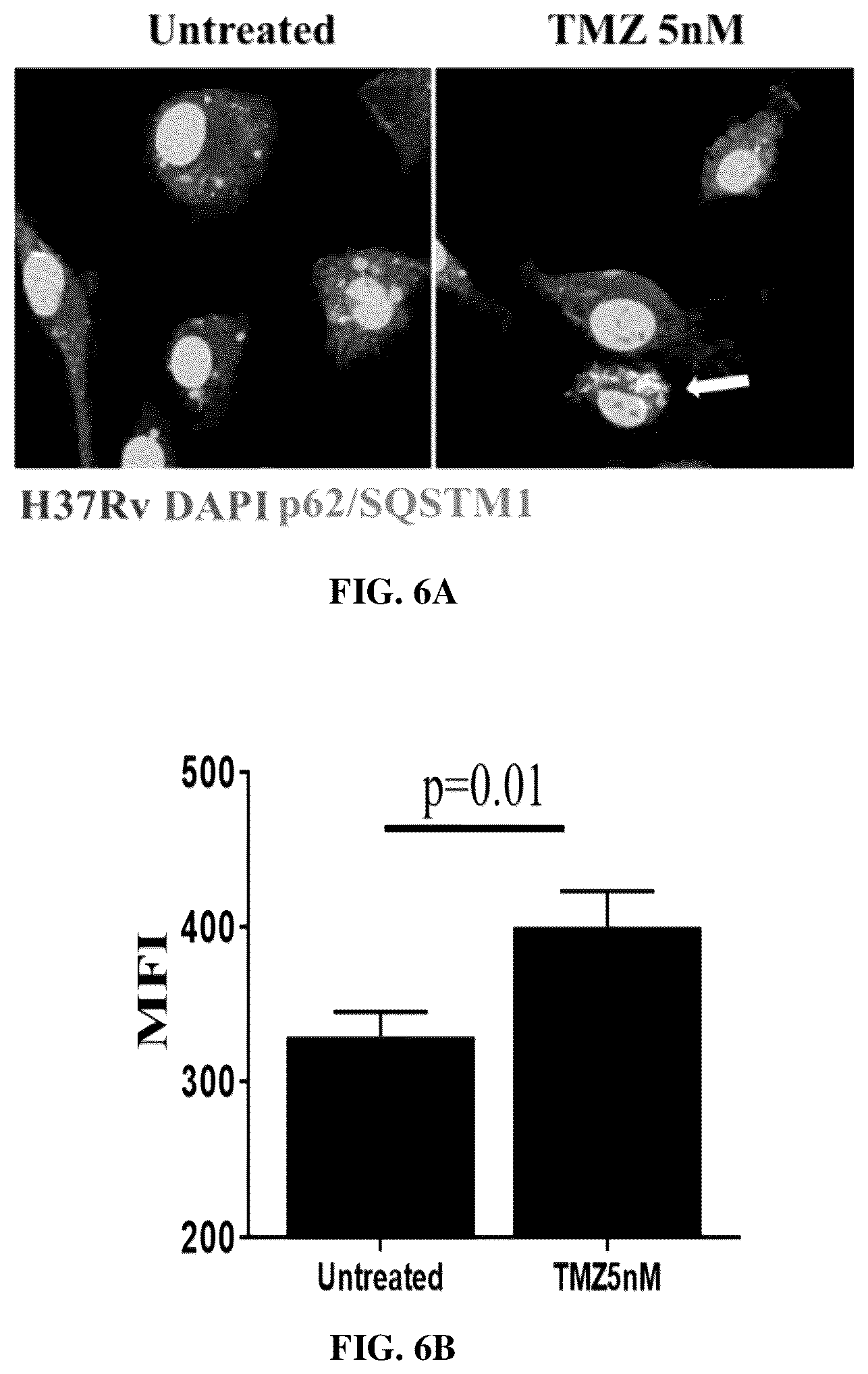 Patent US12616691 Figure 7 – Use of fatty acid oxidation inhibitors as antimicrobials