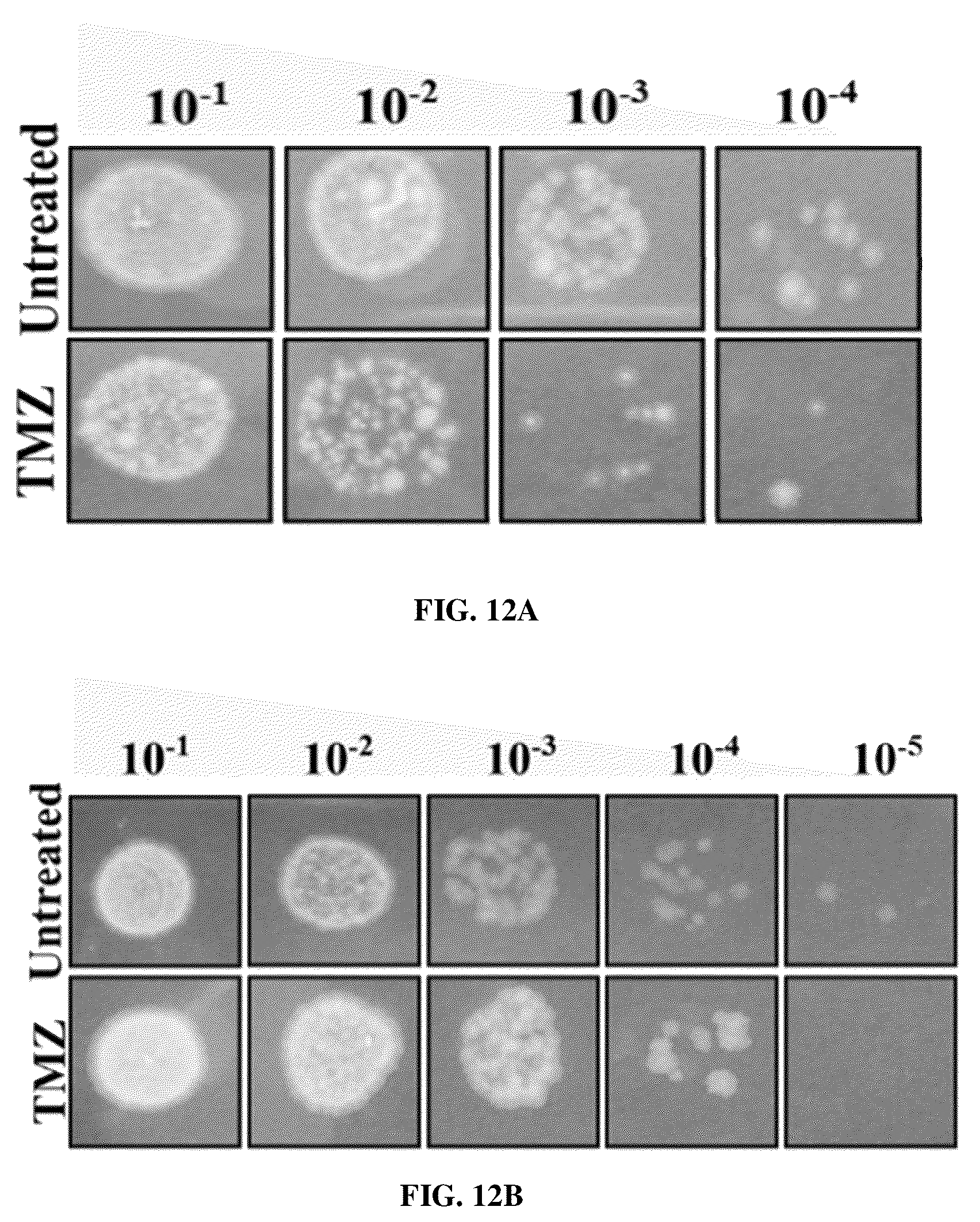 Patent US12616691 Figure 18 – Use of fatty acid oxidation inhibitors as antimicrobials