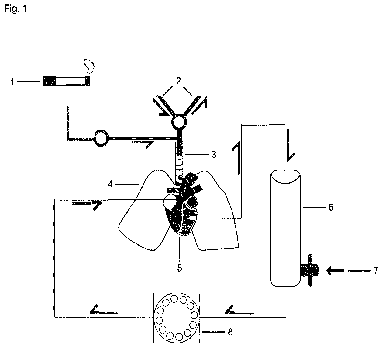 Patent US12616695 Figure 1 – Use of 5-amino-2,3-dihydro-1,4-phthalazinedione in the treatment of rare chronic inflammatory pulmonary diseases