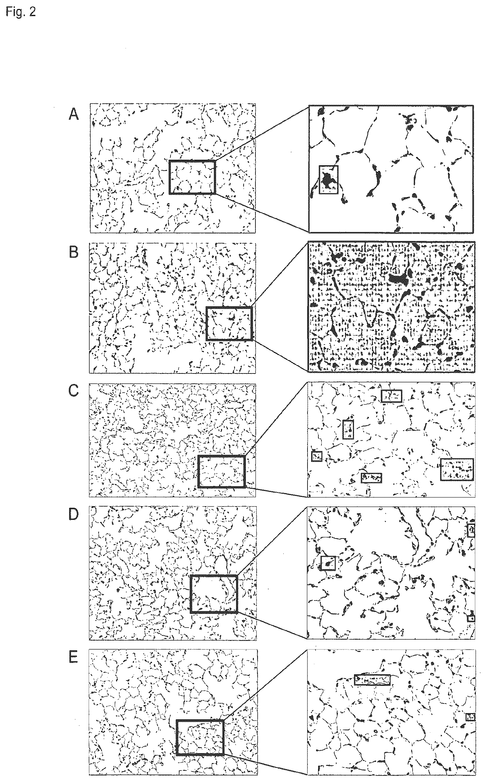 Patent US12616695 Figure 2 – Use of 5-amino-2,3-dihydro-1,4-phthalazinedione in the treatment of rare chronic inflammatory pulmonary diseases