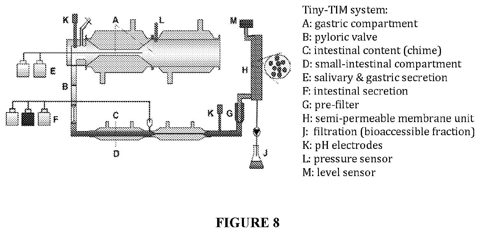 Patent US12616696 Figure 8 – Crystalline forms of (p)-3-chloro-4-((3,5-difluoropyridin-2-yl)methoxy)-2′-(2-(2-hydroxypropan-2-yl)pyrimidin-4-yl)-5′,6-dimethyl-2h-[1,4′-bipyridin]-2-one