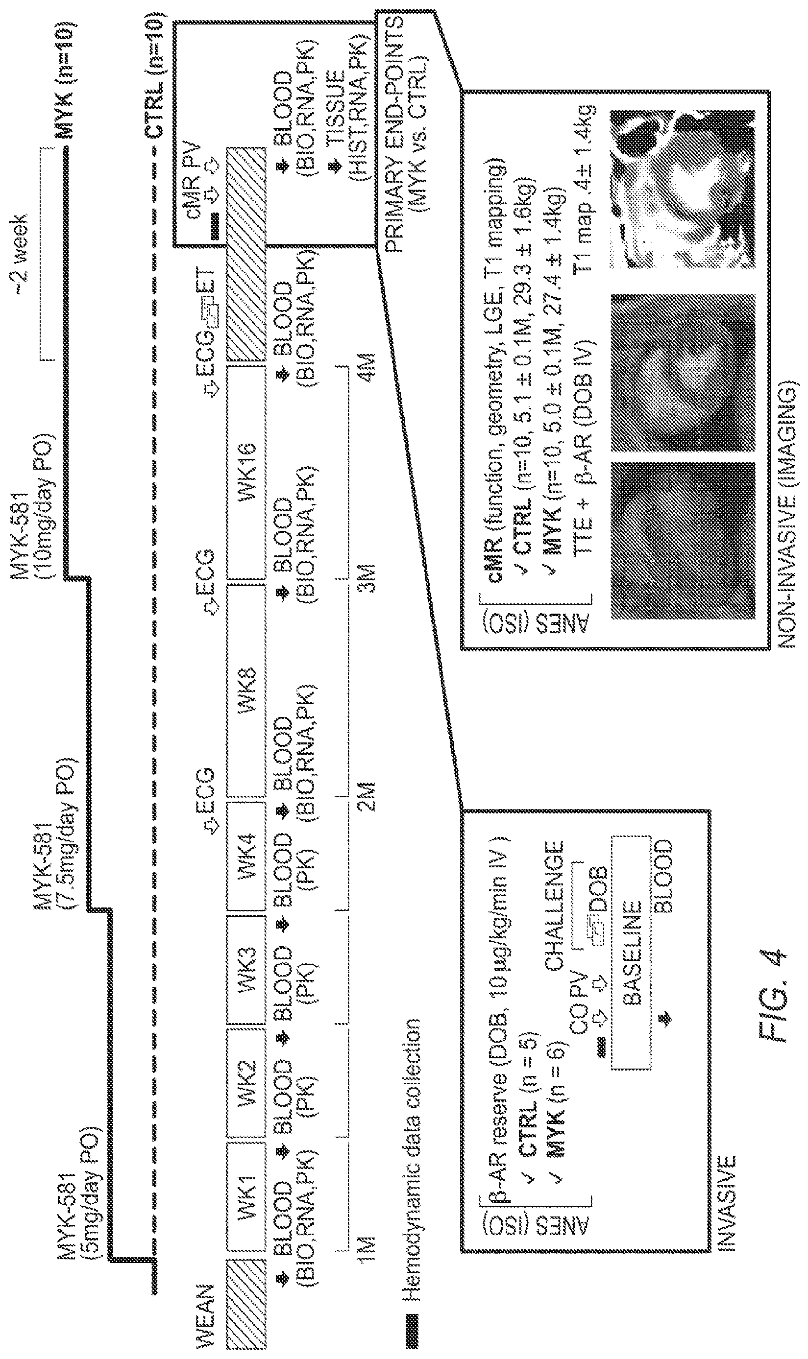 Patent US12616697 Figure 5 – Methods of treatment with myosin modulator