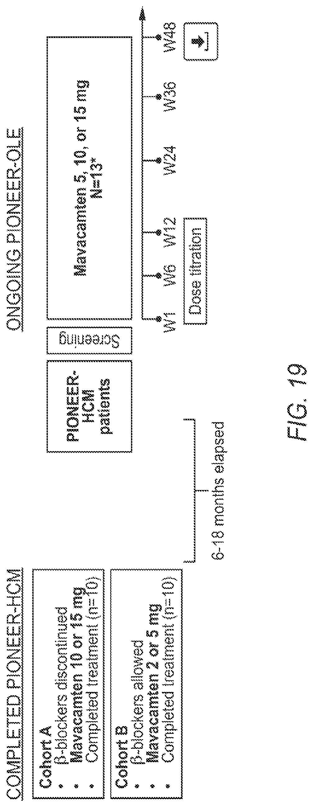 Patent US12616697 Figure 20 – Methods of treatment with myosin modulator