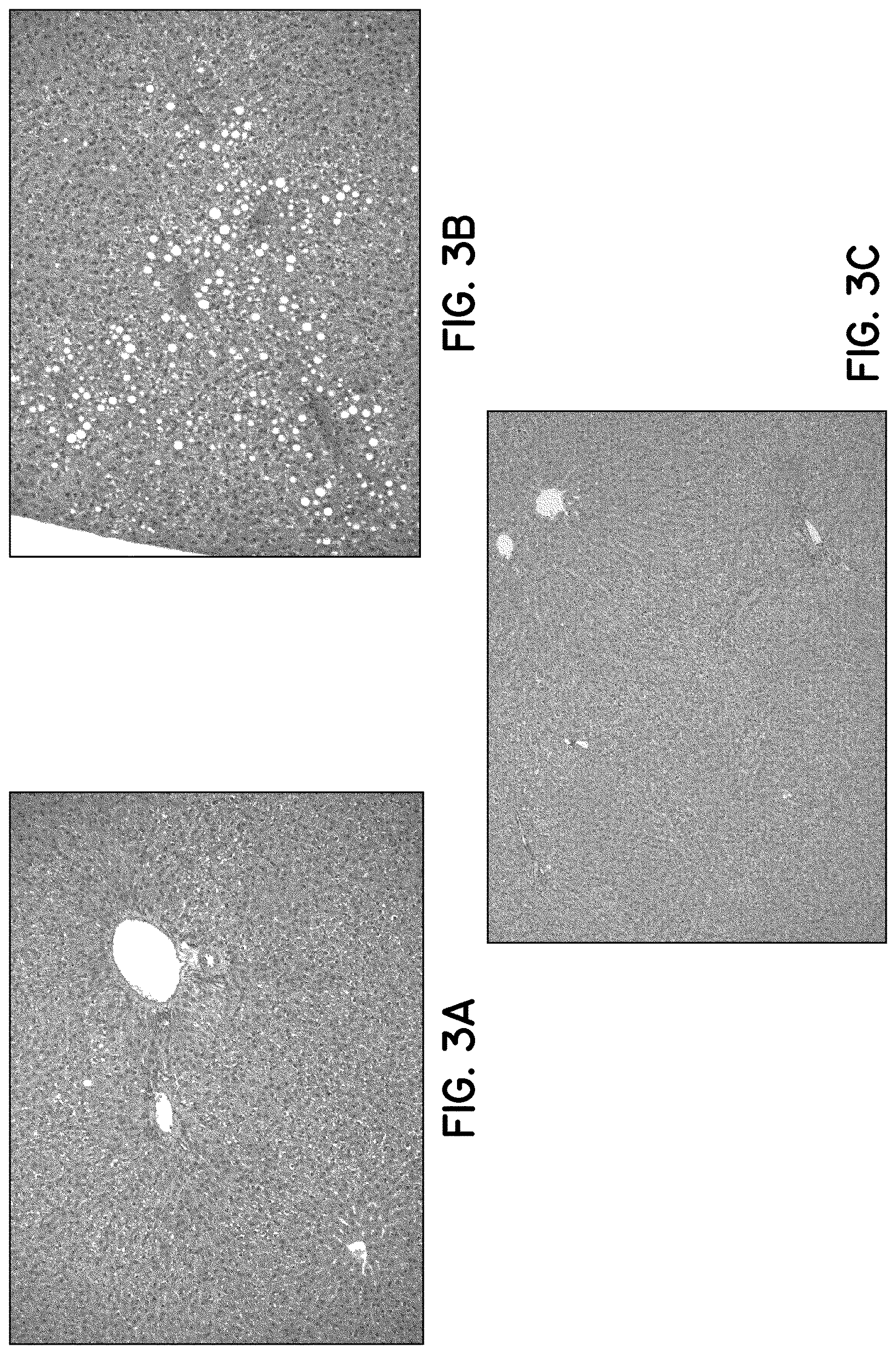 Patent US12616706 Figure 4 – Compositions and methods of use comprising substances with neural plasticity actions administered at non-psychedelic/psychotomimetic dosages and formulations