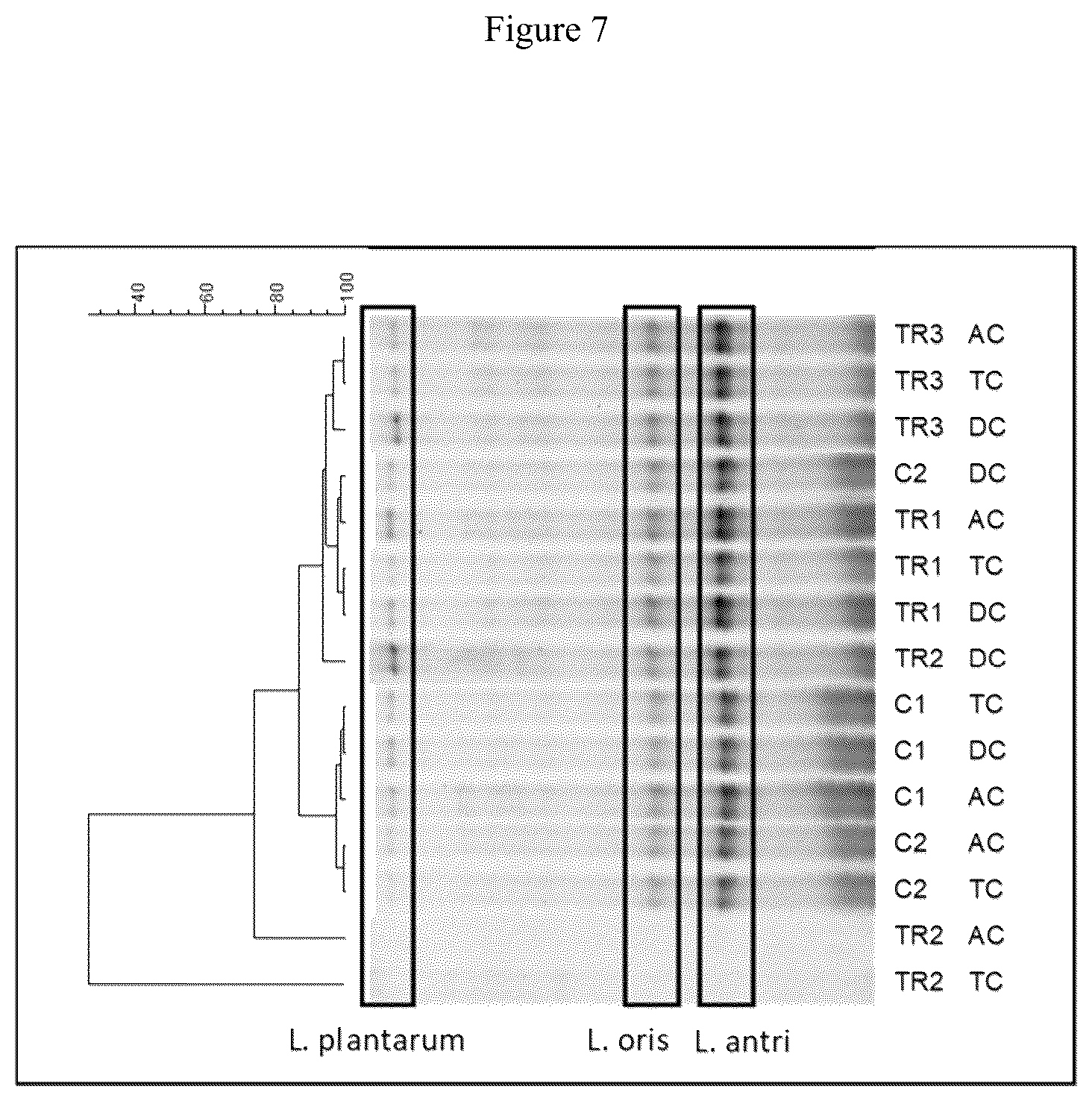 Patent US12616707 Figure 16 – Compositions and methods for improving gut health