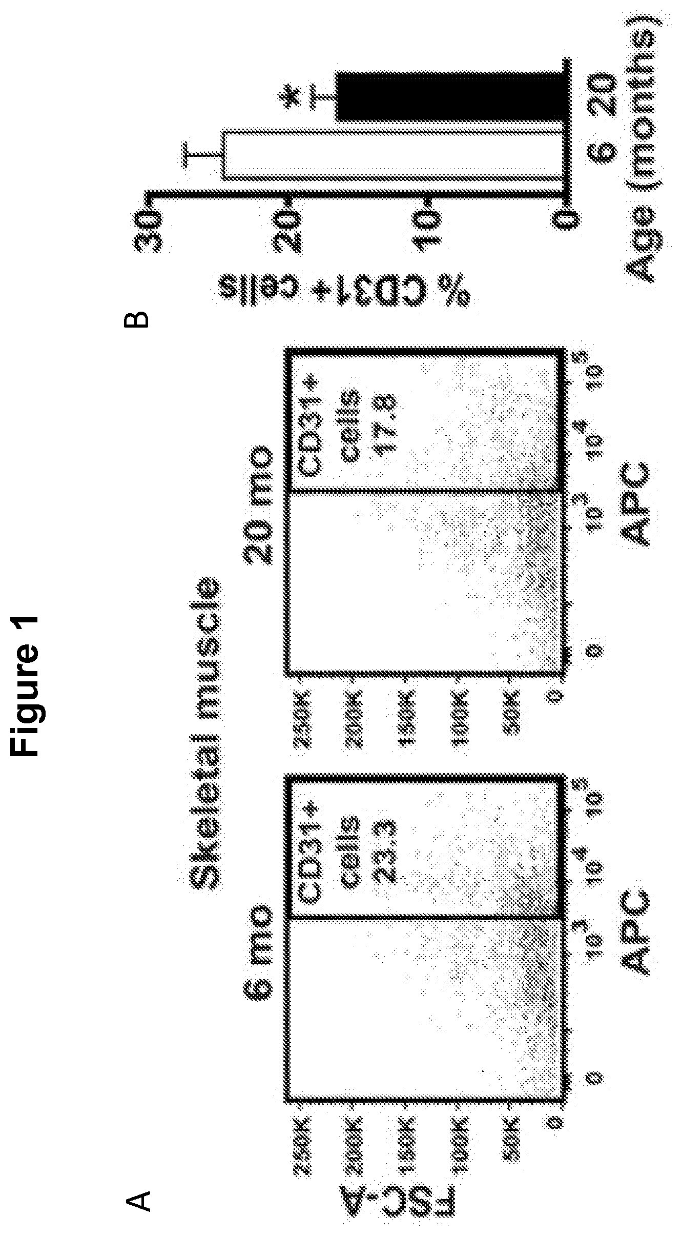 Patent US12616713 — Methods for enhancing vascular density — Figure 1