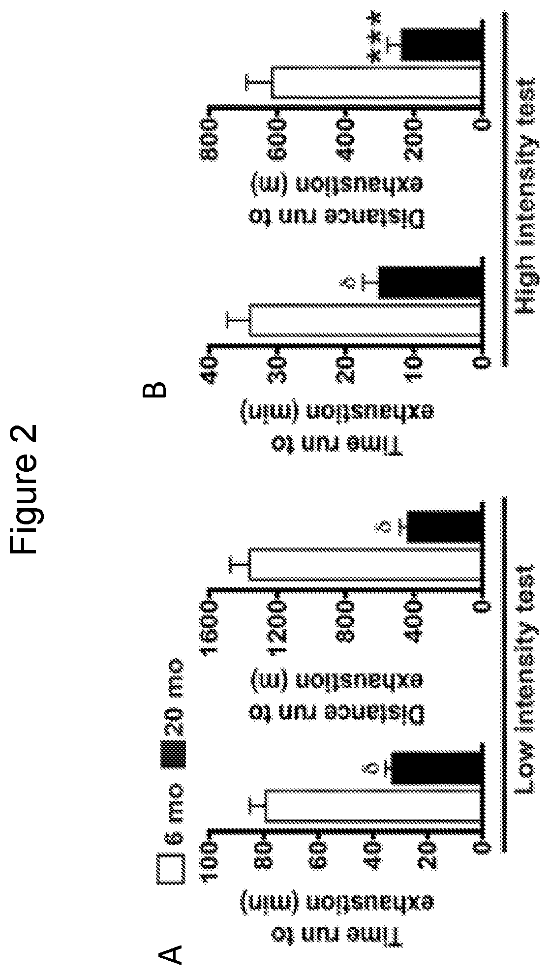 Patent US12616713 Figure 2 – Methods for enhancing vascular density