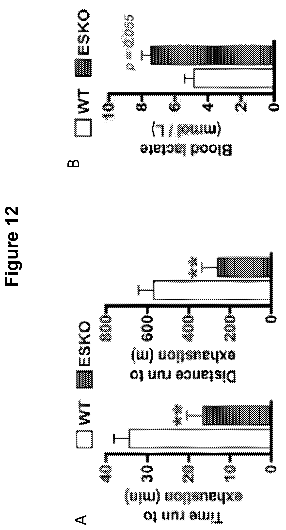 Patent US12616713 Figure 16 – Methods for enhancing vascular density