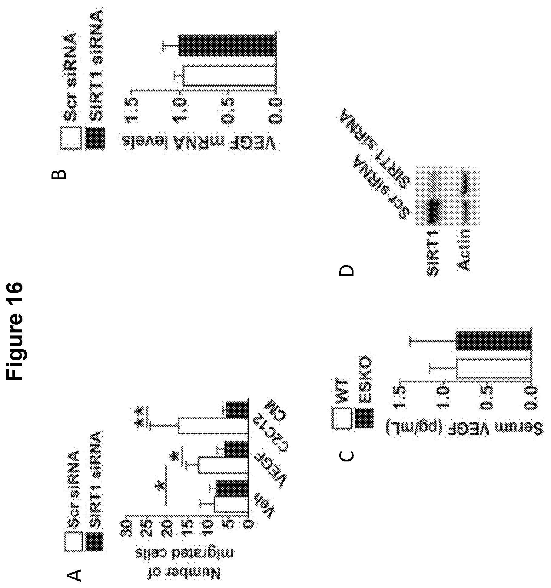 Patent US12616713 Figure 20 – Methods for enhancing vascular density