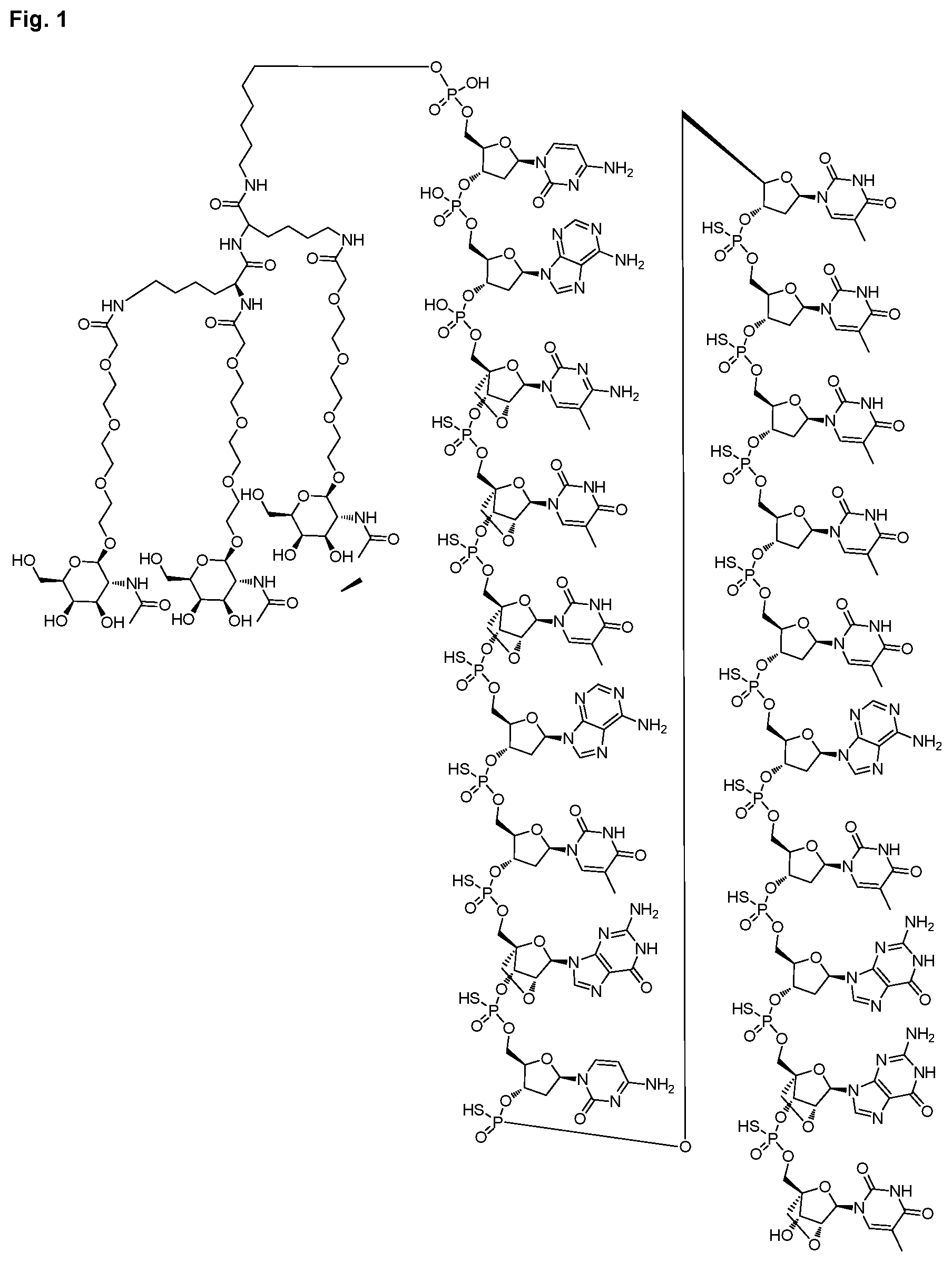 Patent US12616714 — Enhanced oligonucleotides for modulating FUBP1 expression — Figure 1