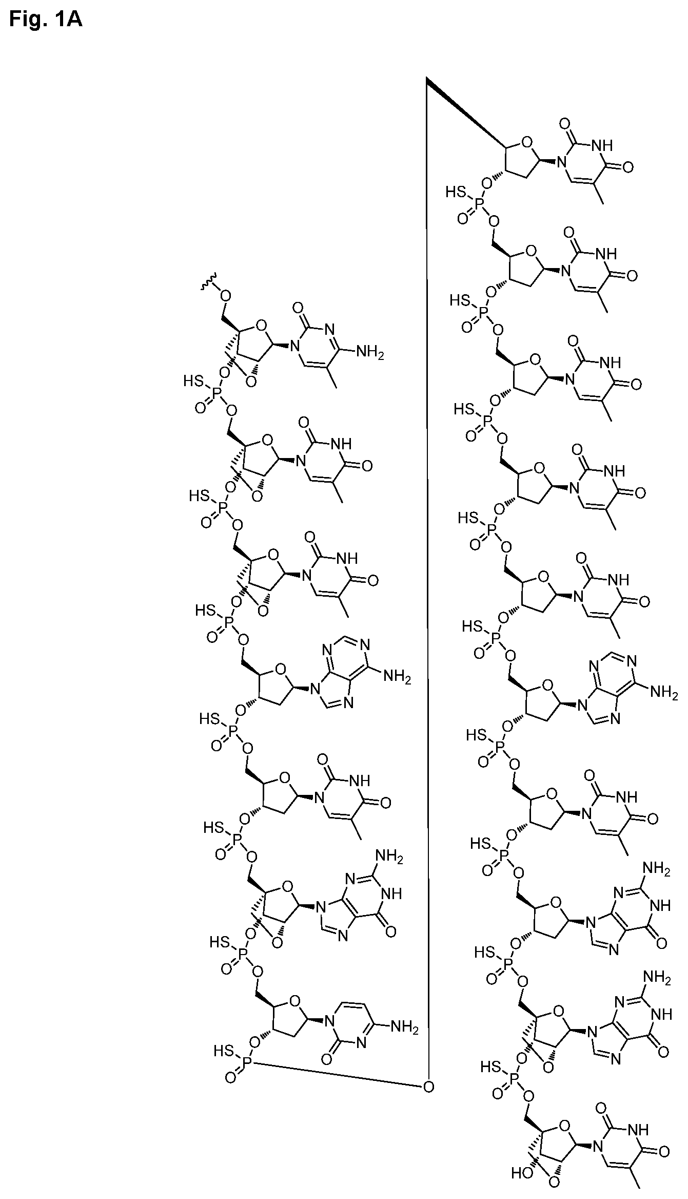 Patent US12616714 Figure 2 – Enhanced oligonucleotides for modulating FUBP1 expression