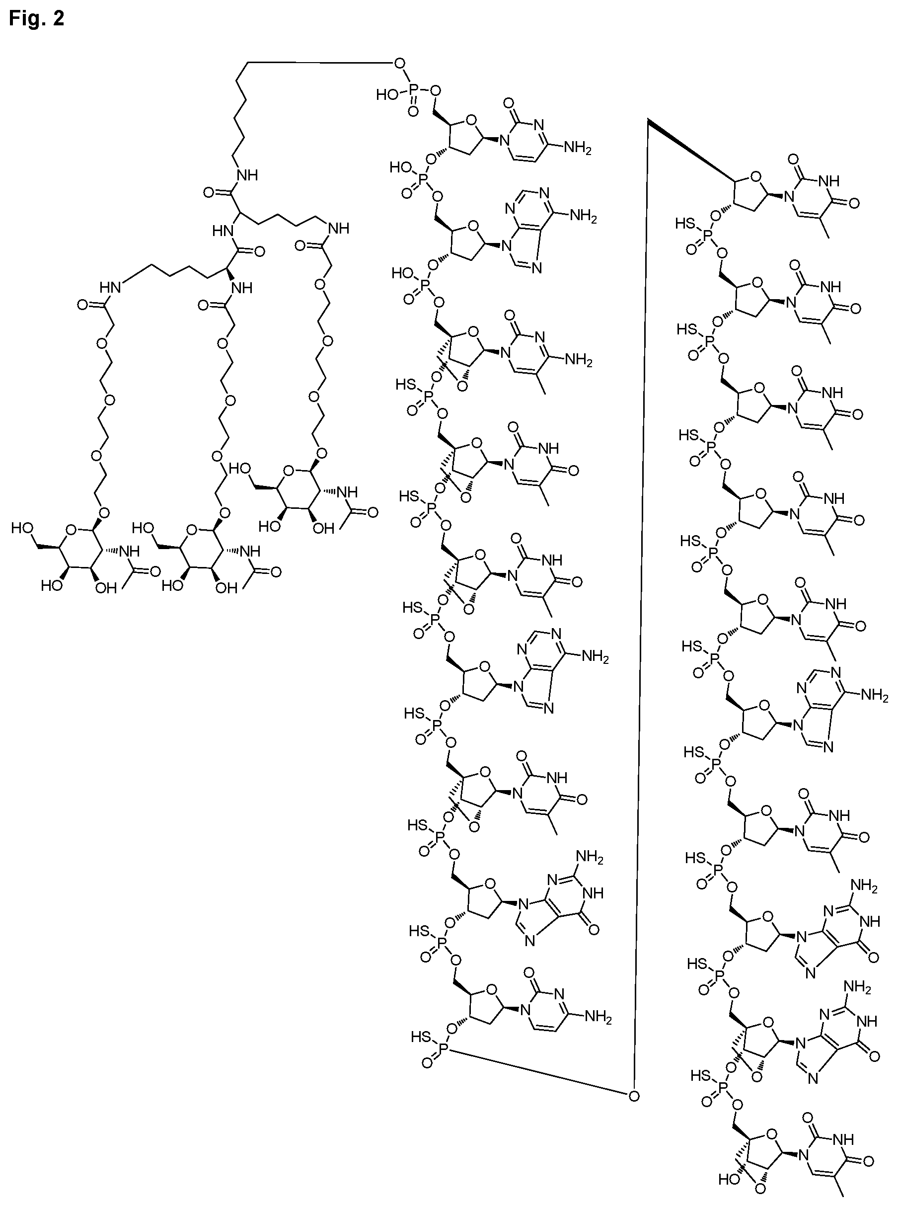 Patent US12616714 Figure 3 – Enhanced oligonucleotides for modulating FUBP1 expression