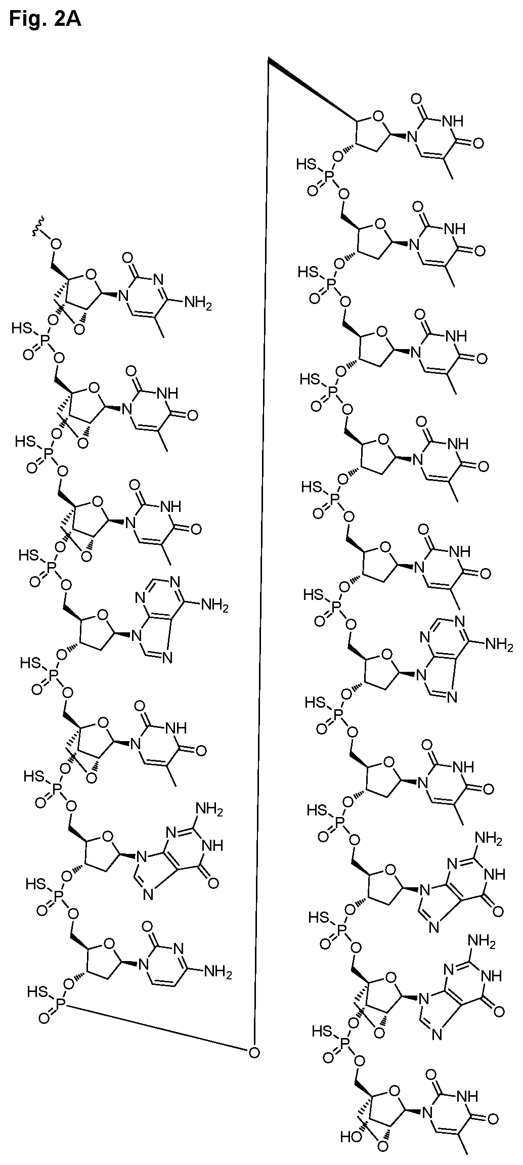 Patent US12616714 Figure 4 – Enhanced oligonucleotides for modulating FUBP1 expression