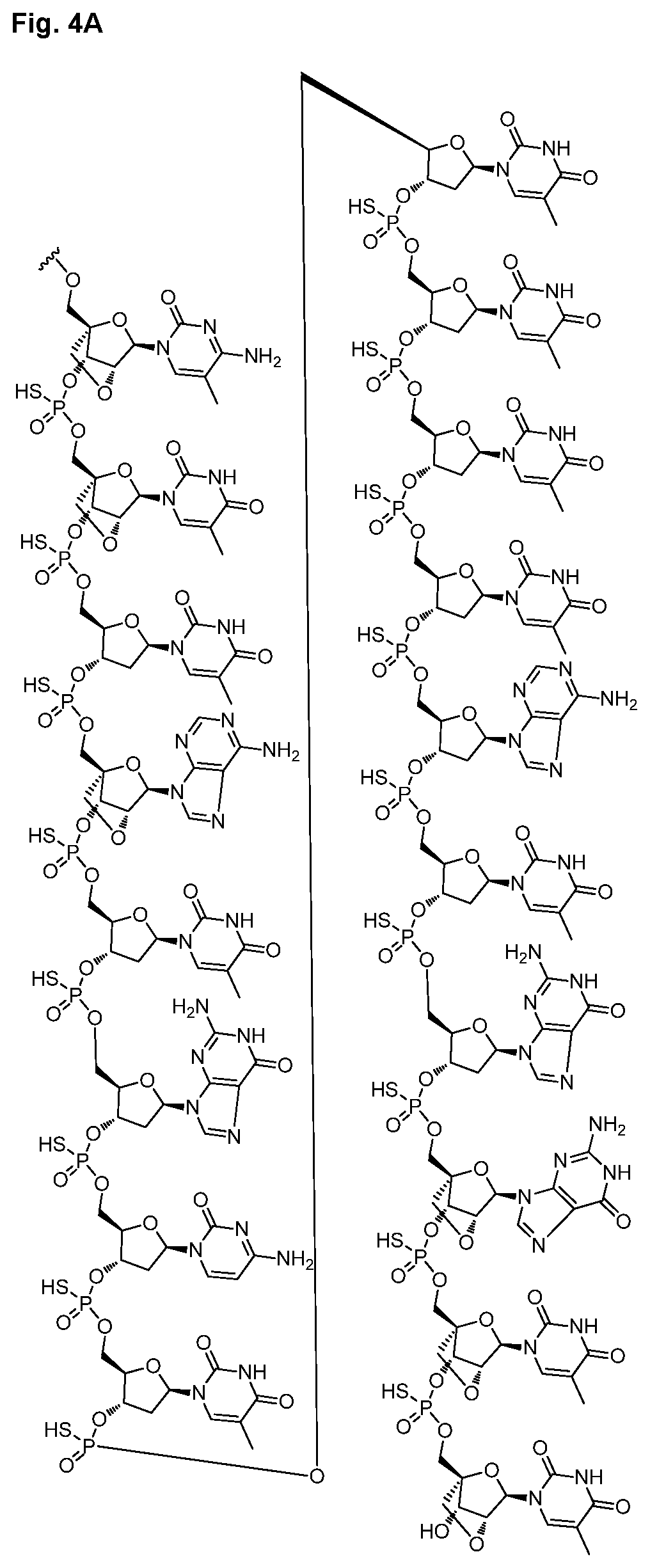 Patent US12616714 Figure 8 – Enhanced oligonucleotides for modulating FUBP1 expression
