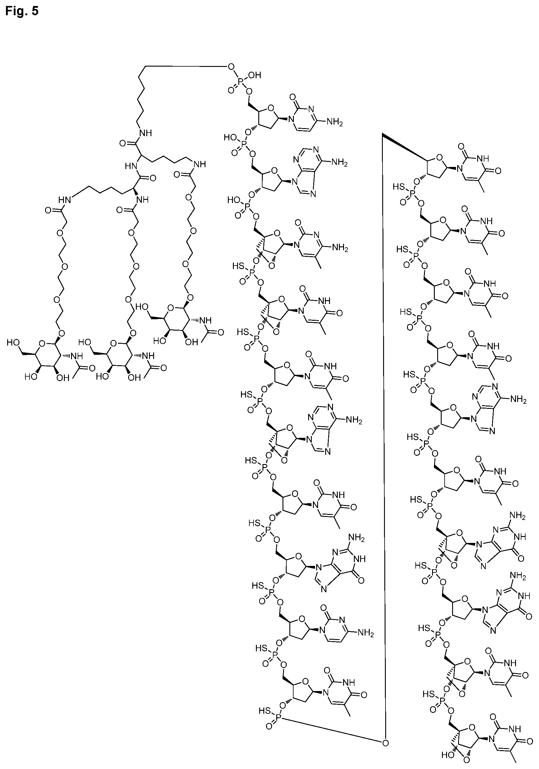 Patent US12616714 Figure 9 – Enhanced oligonucleotides for modulating FUBP1 expression