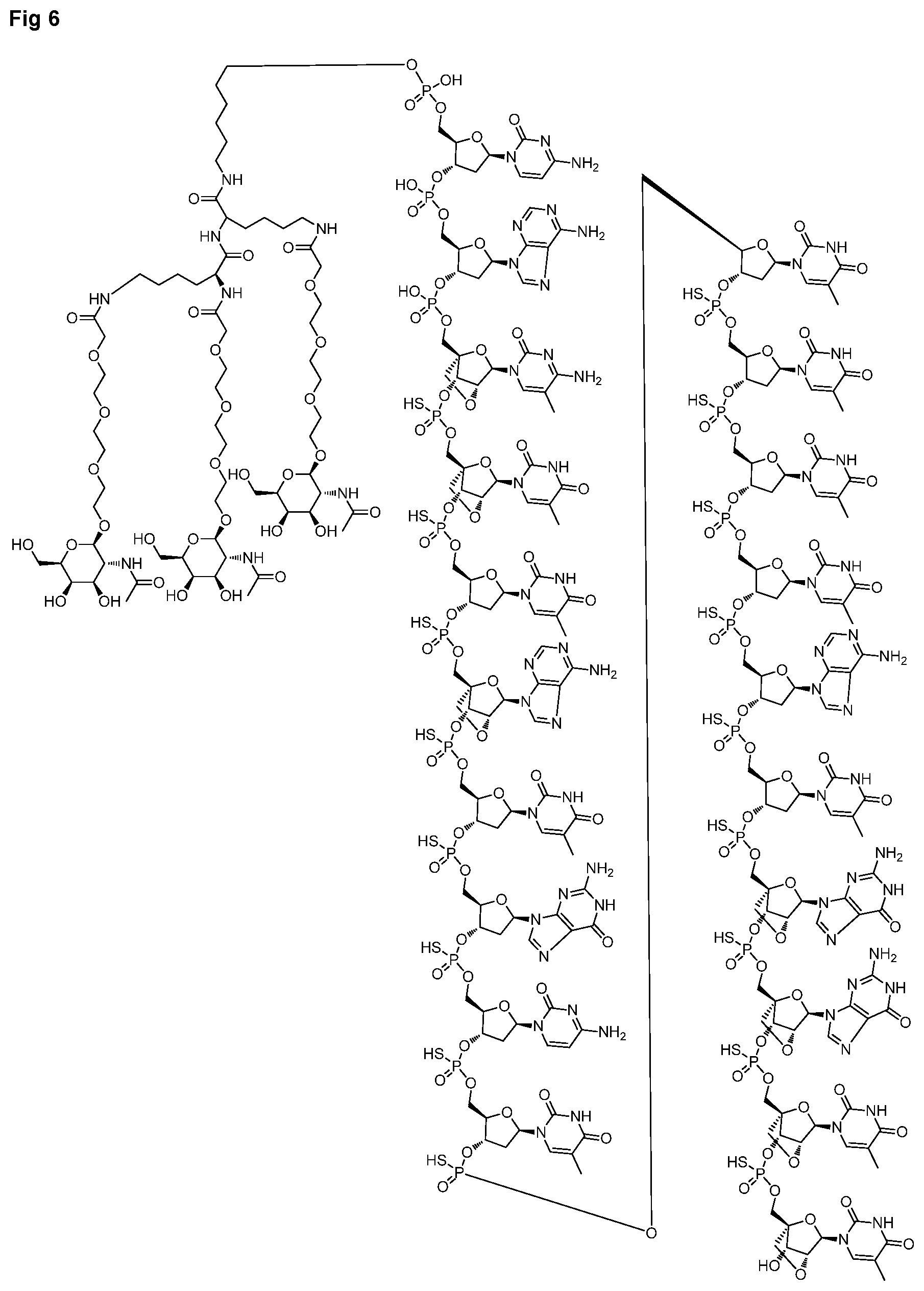 Patent US12616714 Figure 11 – Enhanced oligonucleotides for modulating FUBP1 expression