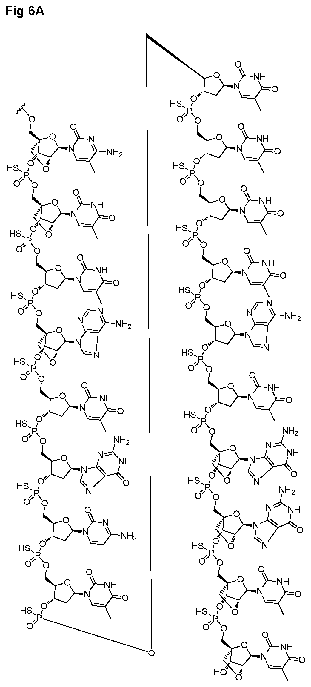 Patent US12616714 Figure 12 – Enhanced oligonucleotides for modulating FUBP1 expression