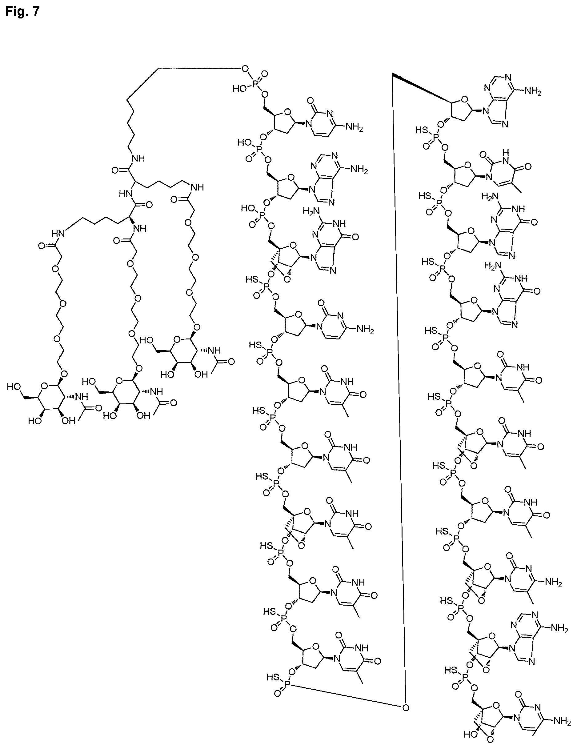Patent US12616714 Figure 13 – Enhanced oligonucleotides for modulating FUBP1 expression