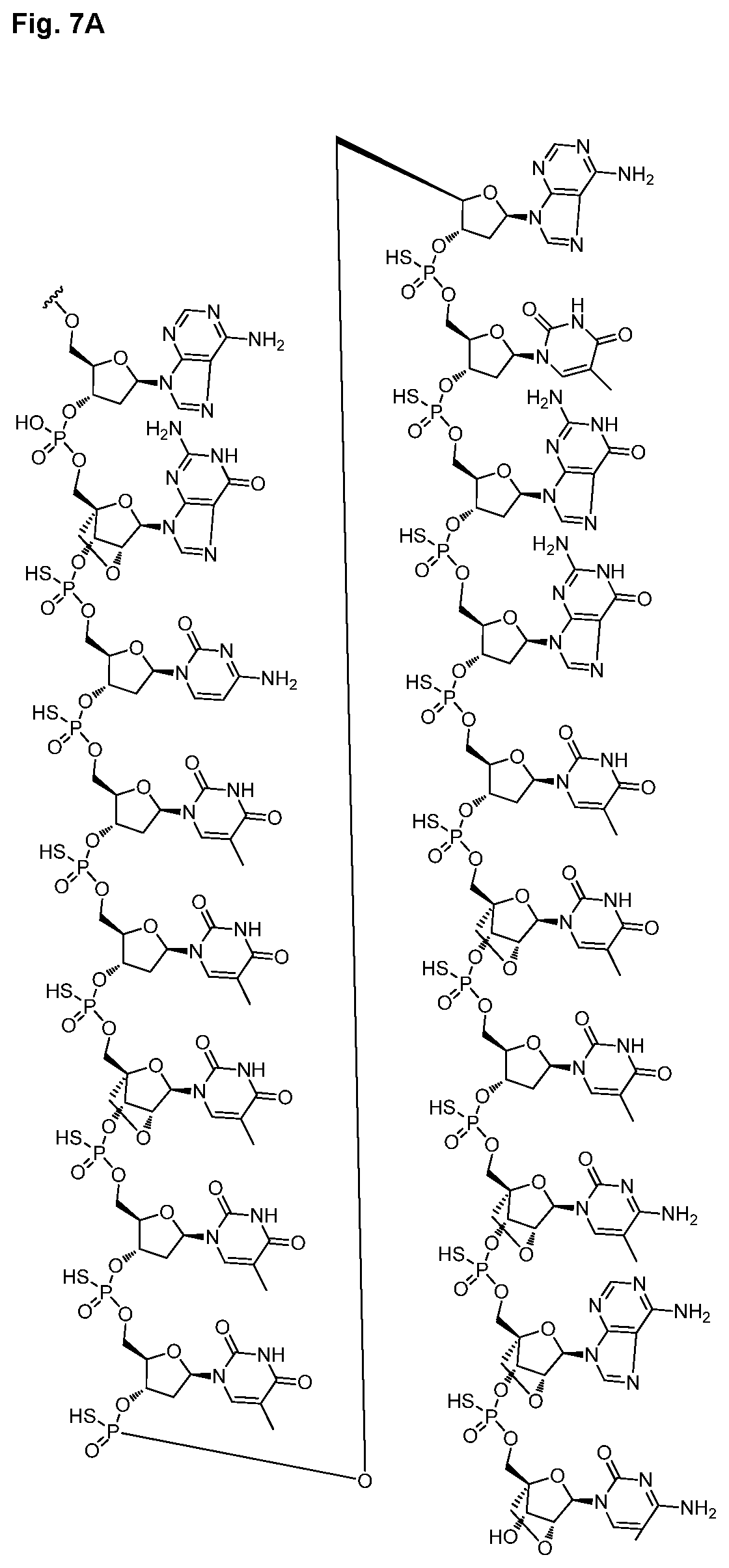 Patent US12616714 Figure 14 – Enhanced oligonucleotides for modulating FUBP1 expression