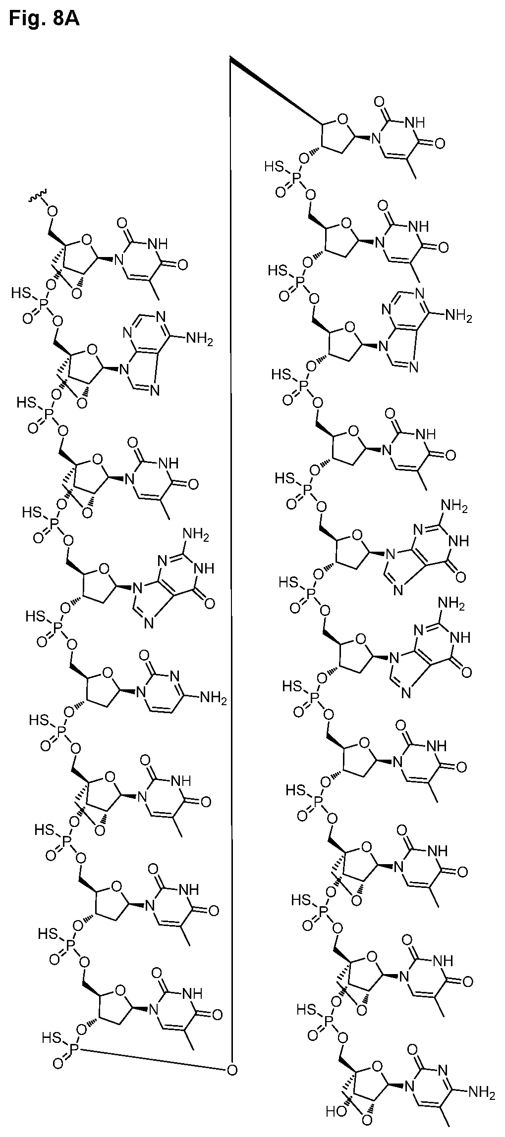 Patent US12616714 Figure 16 – Enhanced oligonucleotides for modulating FUBP1 expression