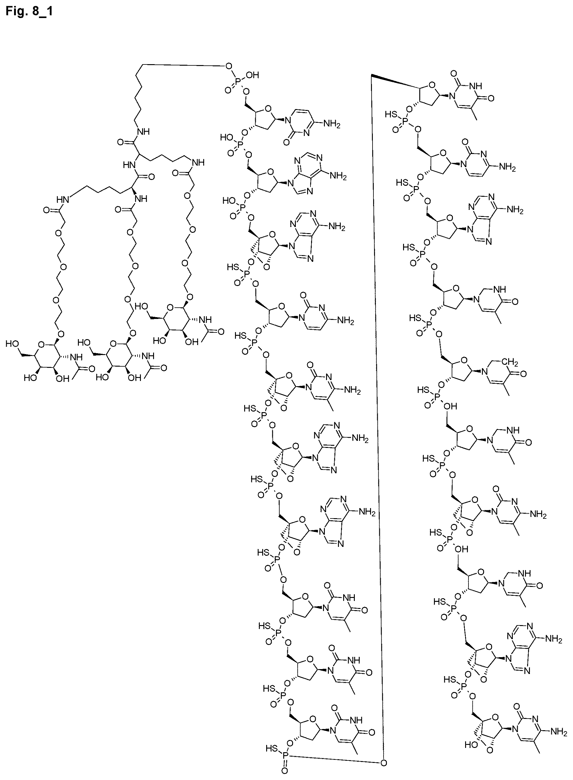 Patent US12616714 Figure 17 – Enhanced oligonucleotides for modulating FUBP1 expression