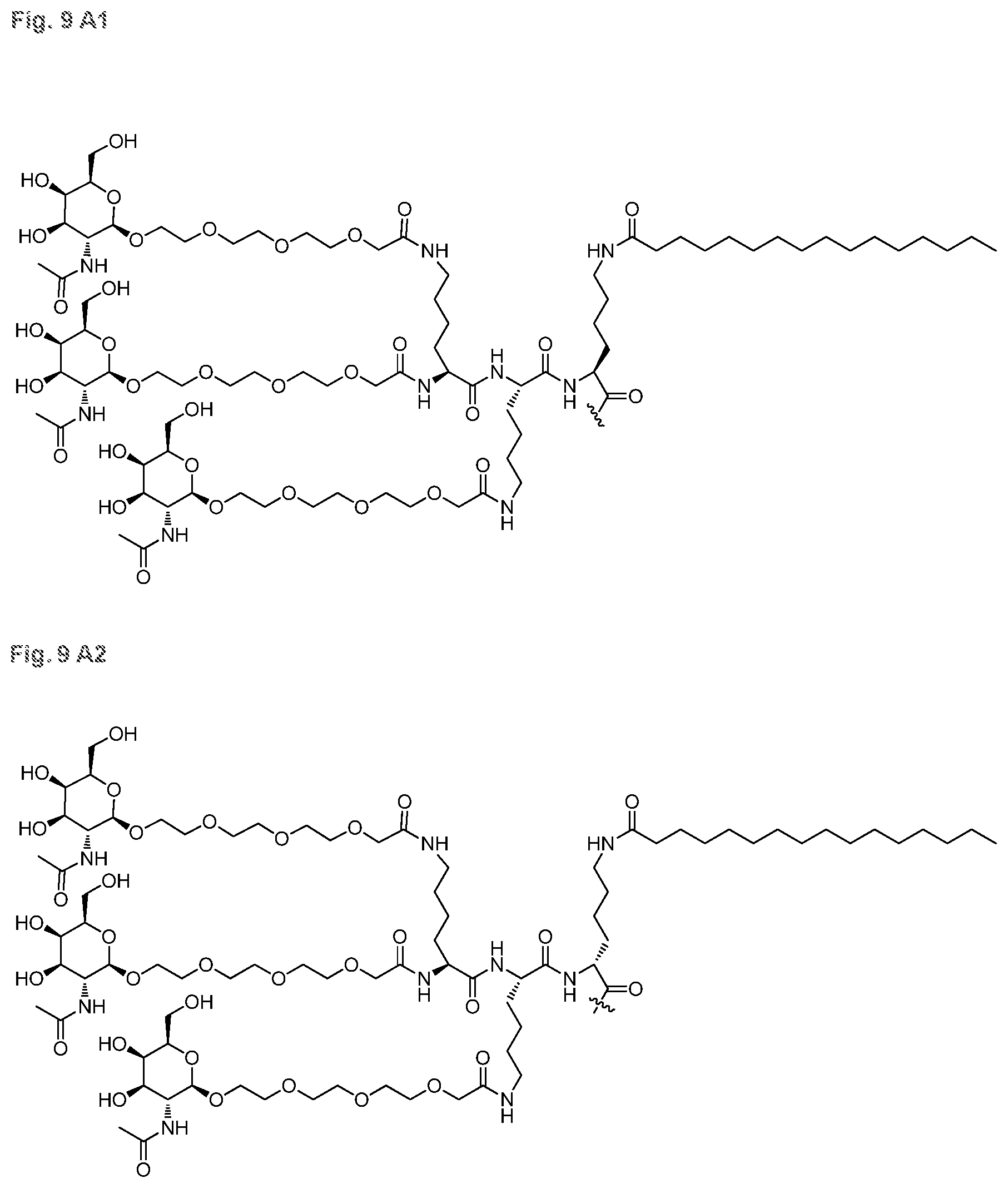 Patent US12616714 Figure 19 – Enhanced oligonucleotides for modulating FUBP1 expression