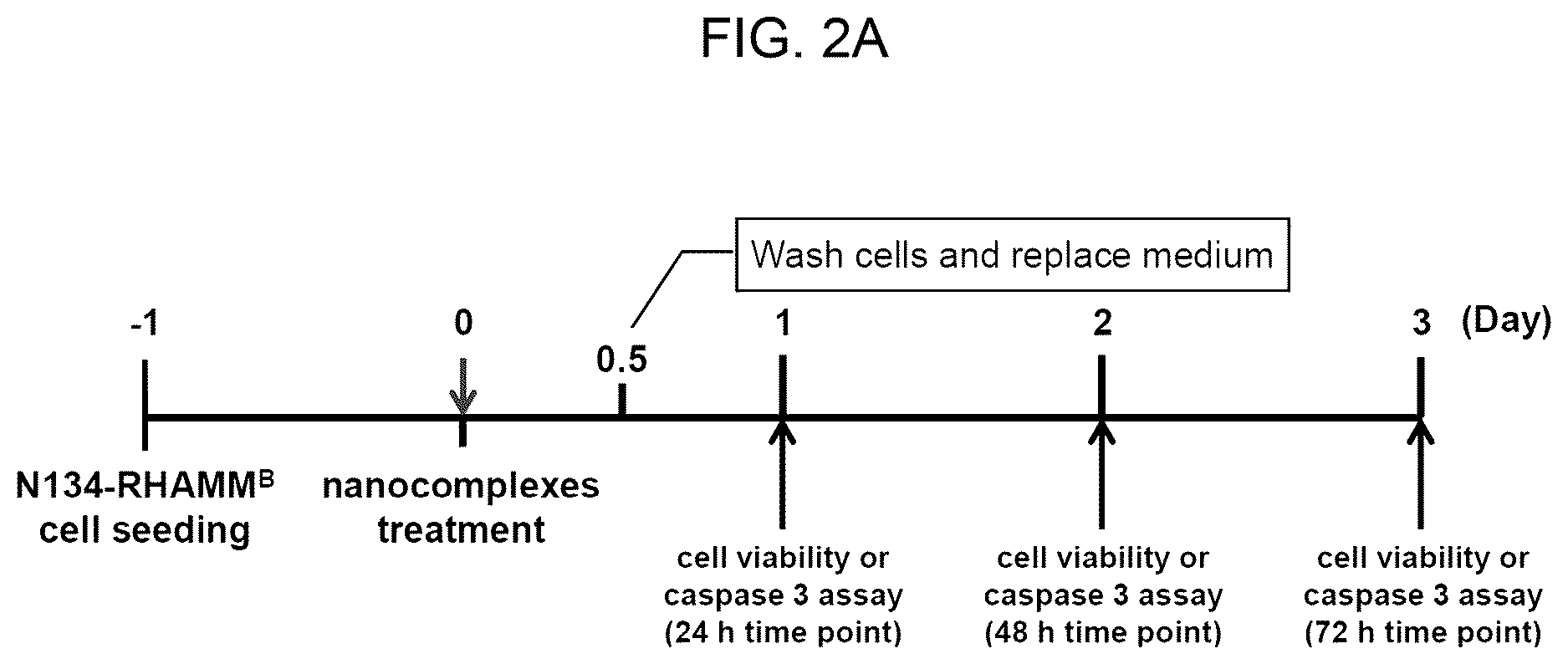 Patent US12616715 Figure 4 – Nanotherapy targeting RHAMM-positive tumors