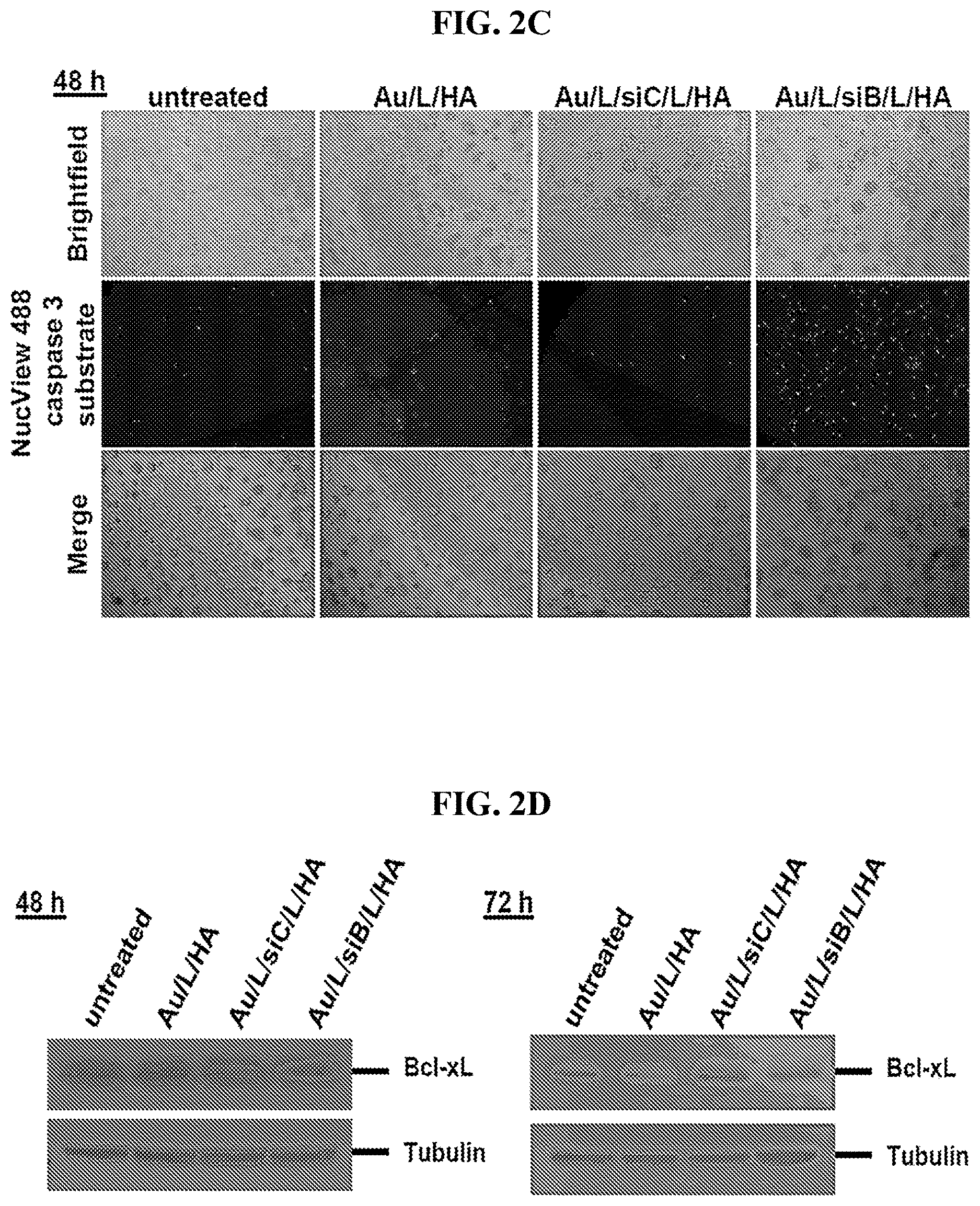 Patent US12616715 Figure 6 – Nanotherapy targeting RHAMM-positive tumors