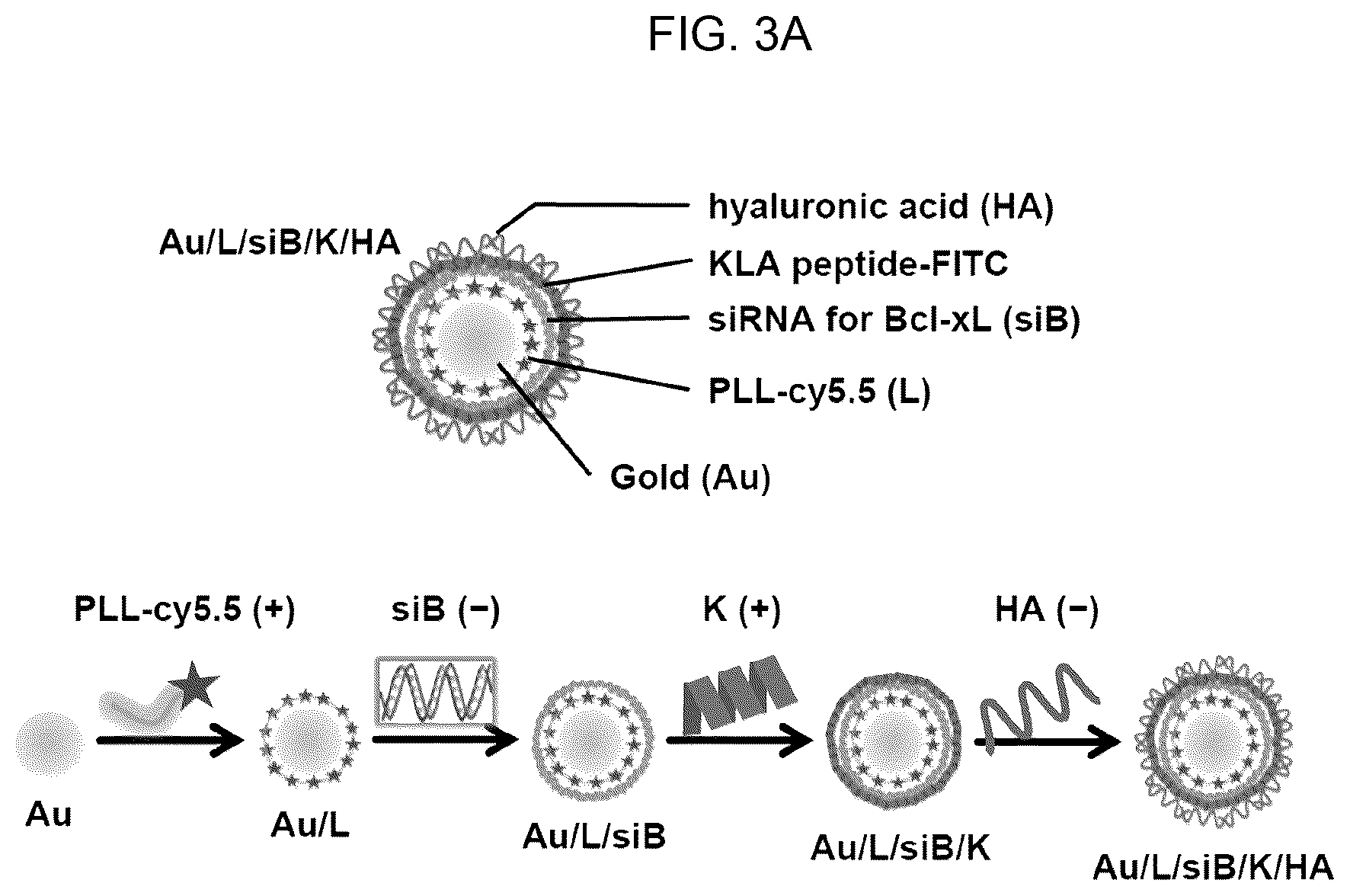 Patent US12616715 Figure 7 – Nanotherapy targeting RHAMM-positive tumors