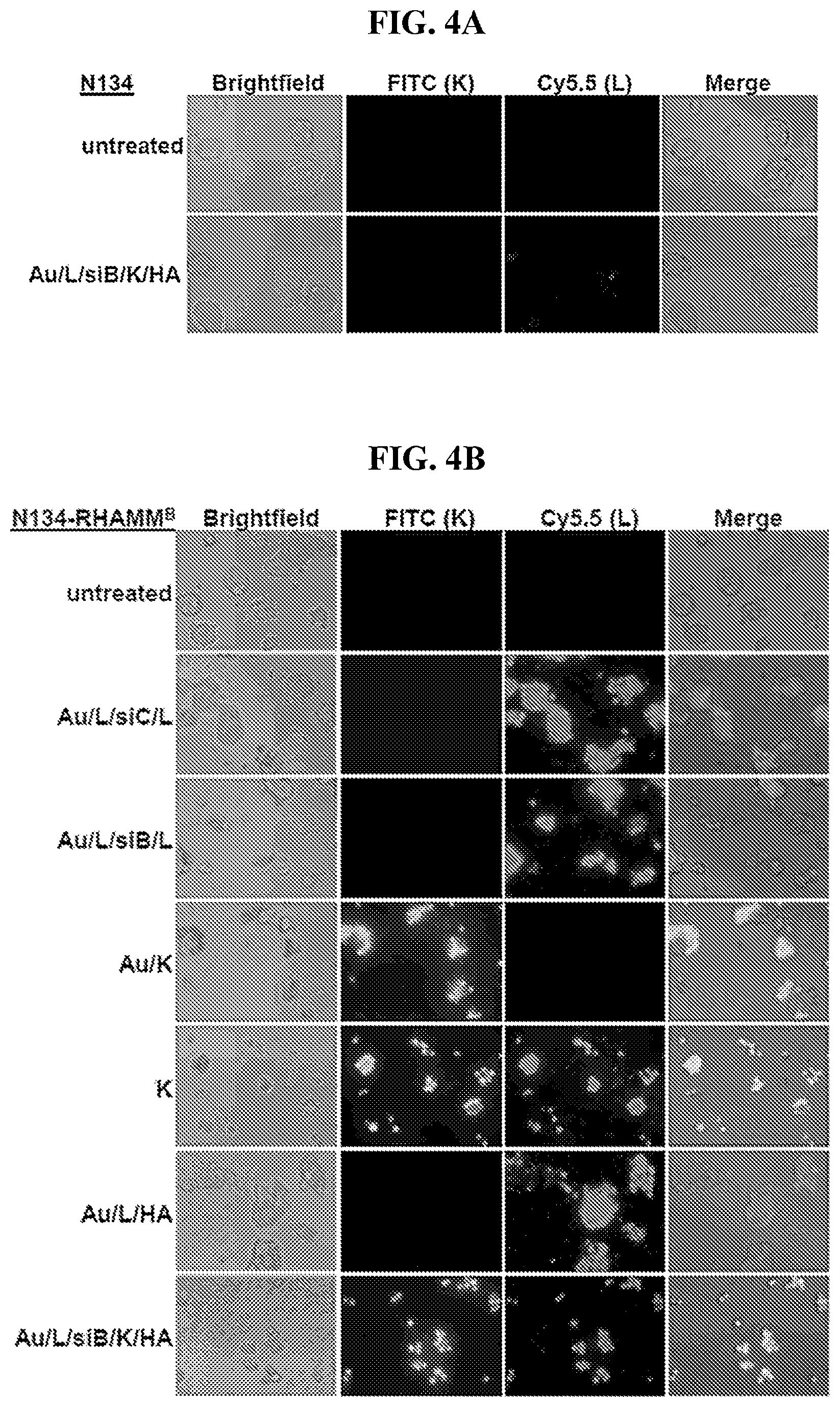 Patent US12616715 Figure 9 – Nanotherapy targeting RHAMM-positive tumors