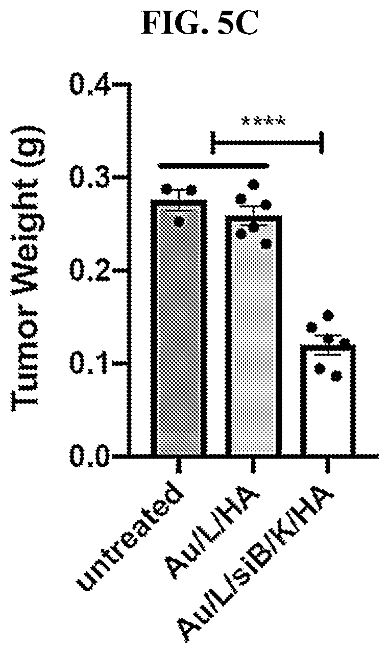Patent US12616715 Figure 12 – Nanotherapy targeting RHAMM-positive tumors