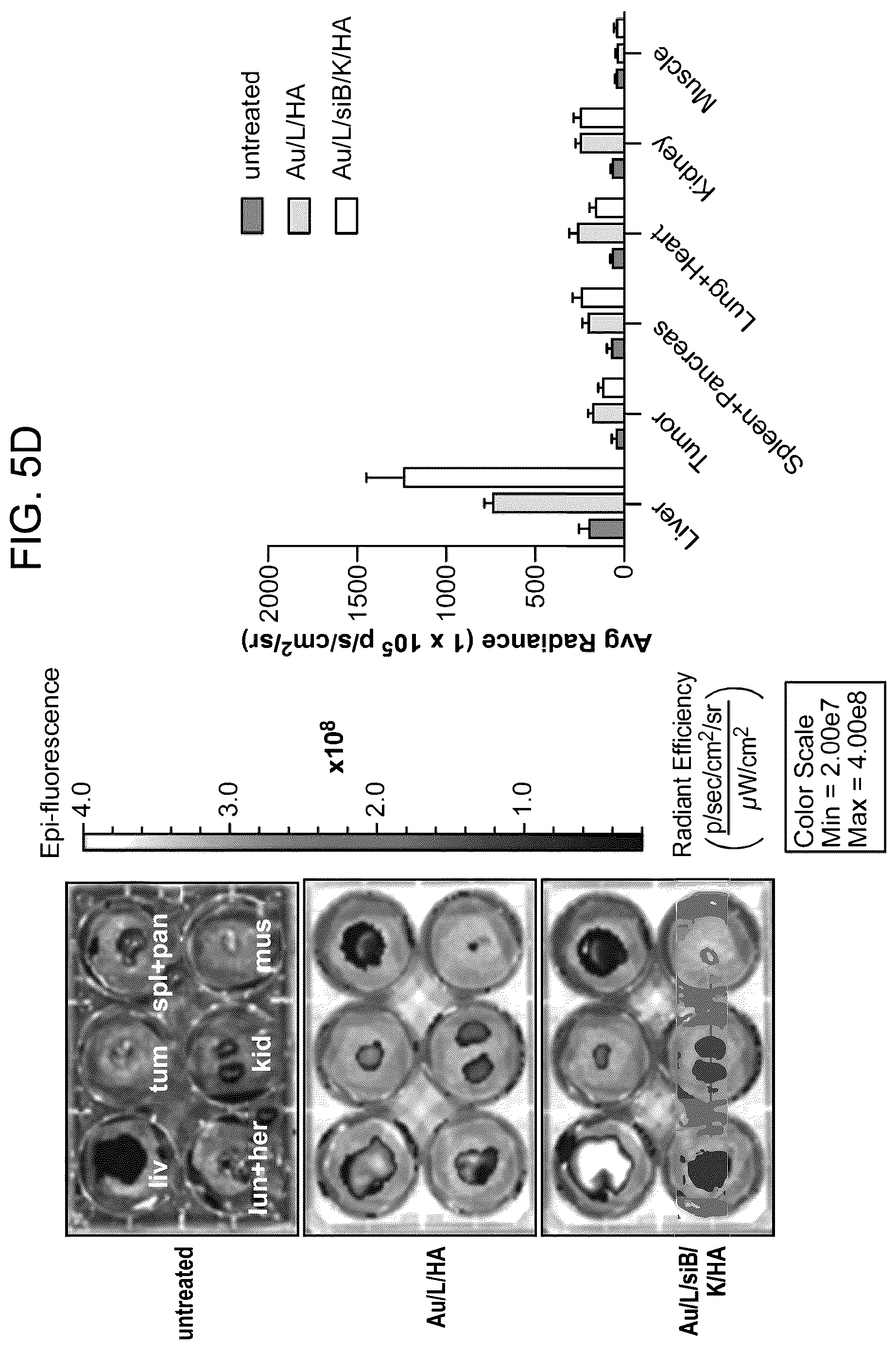 Patent US12616715 Figure 13 – Nanotherapy targeting RHAMM-positive tumors