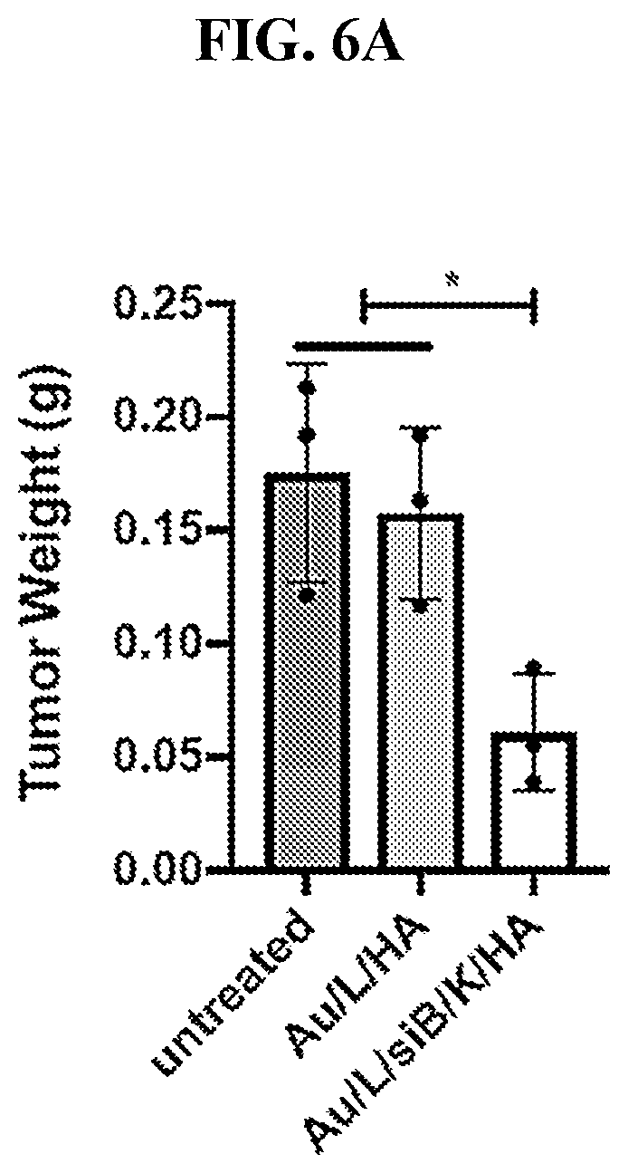 Patent US12616715 Figure 14 – Nanotherapy targeting RHAMM-positive tumors