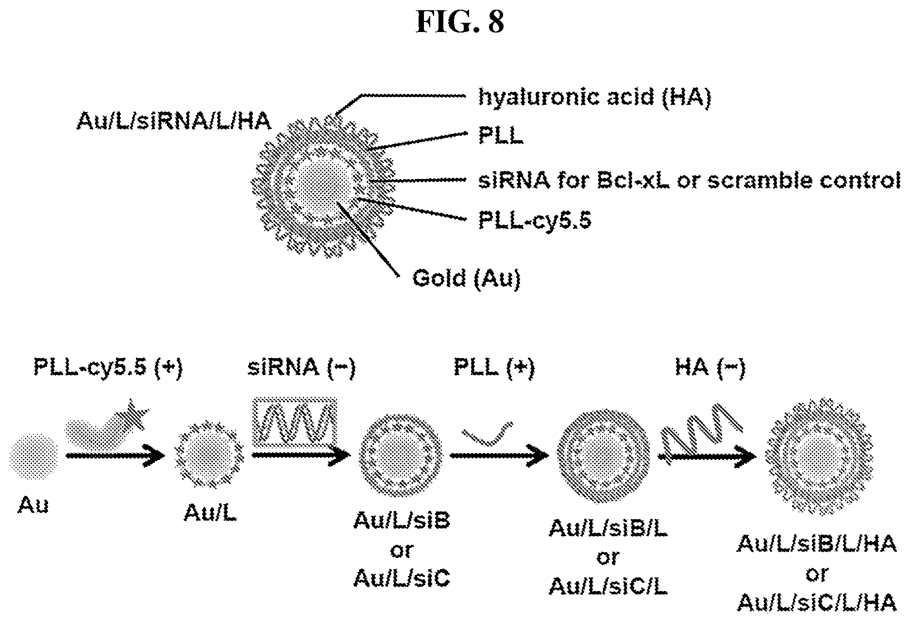 Patent US12616715 Figure 17 – Nanotherapy targeting RHAMM-positive tumors